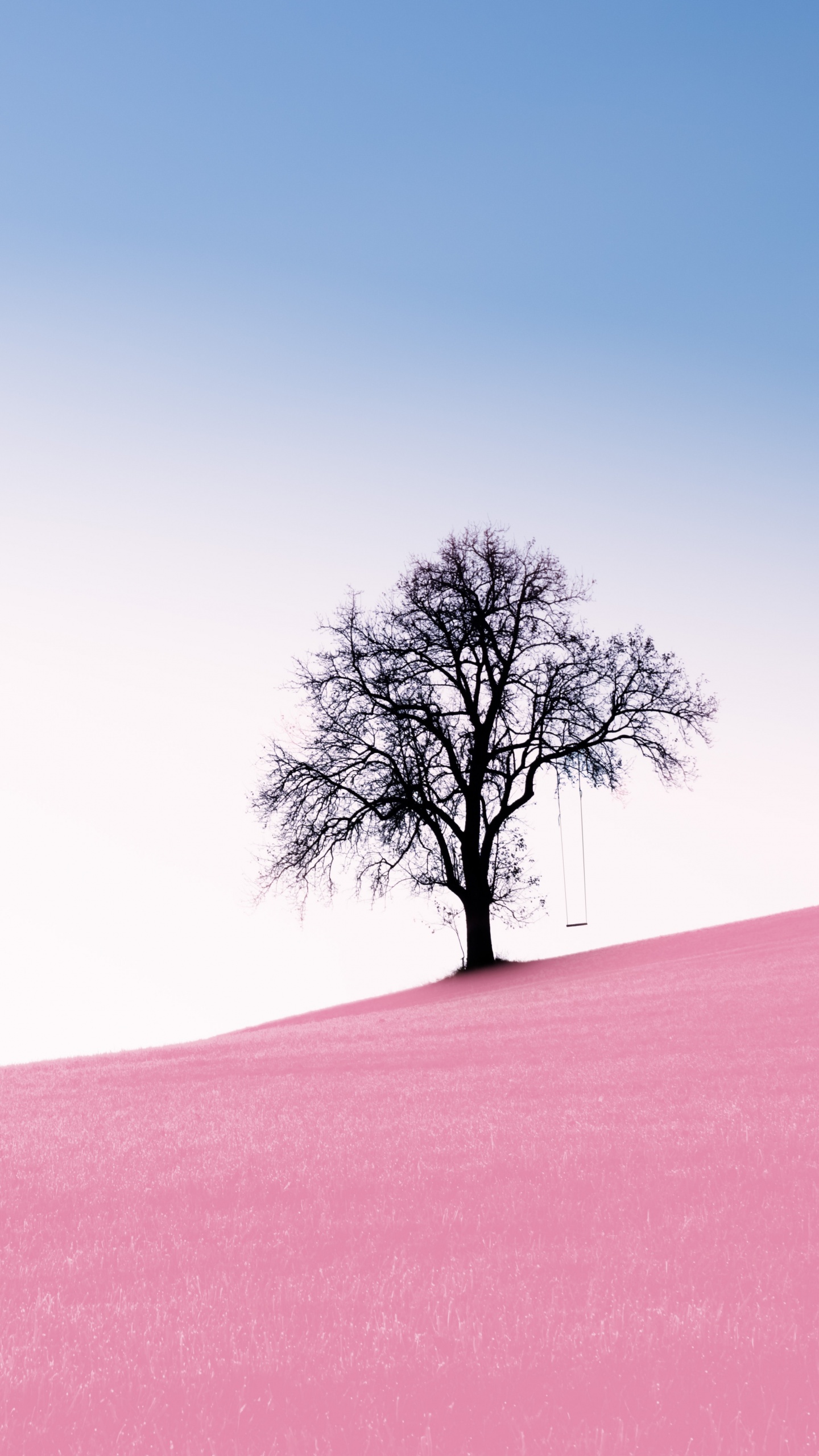 Solitude Tree Wallpaper 4K, Clear sky, Landscape, Nature, #4333