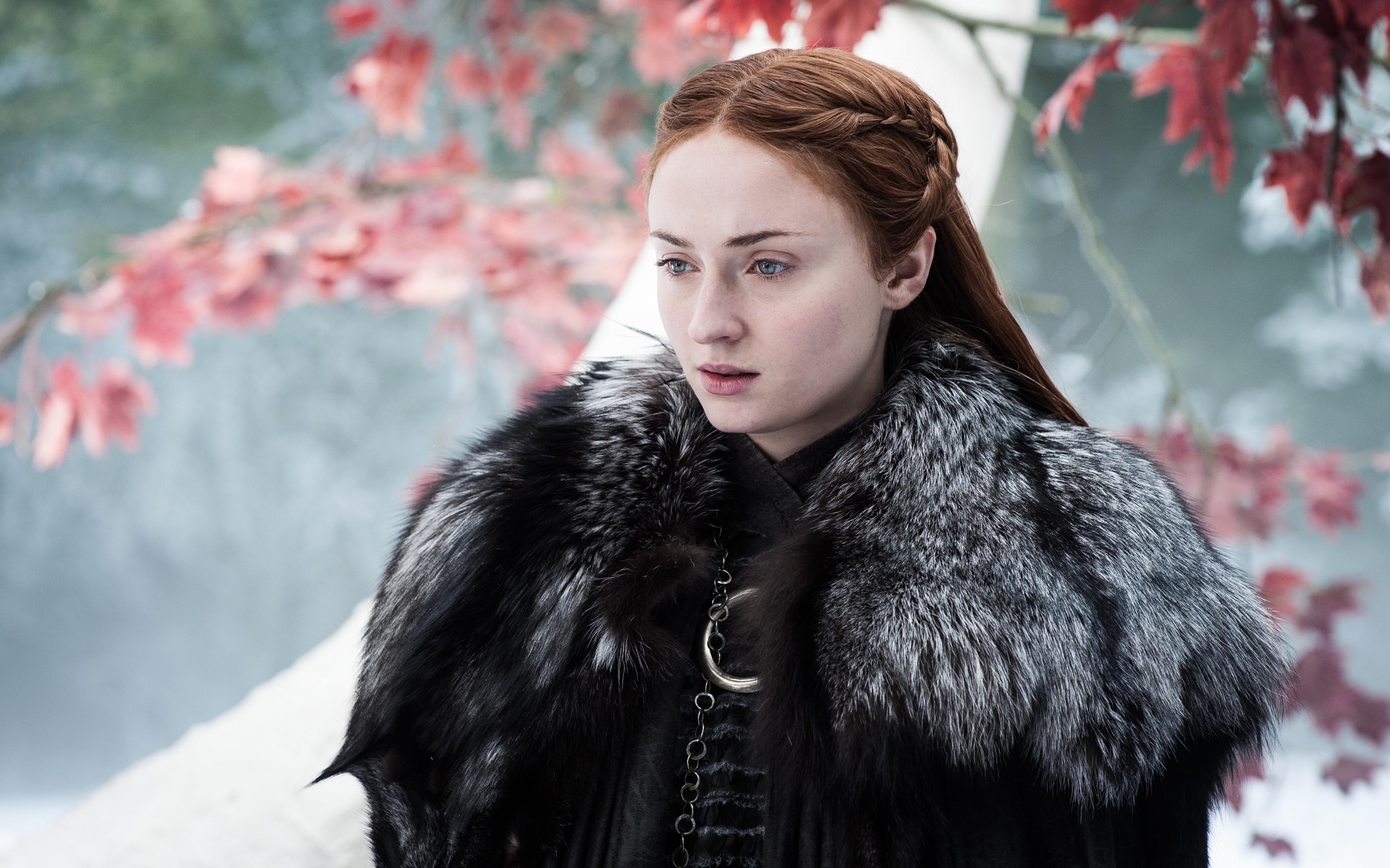 Sophie Turner Wallpaper 4K Sansa Stark Game Of Thrones People 1537