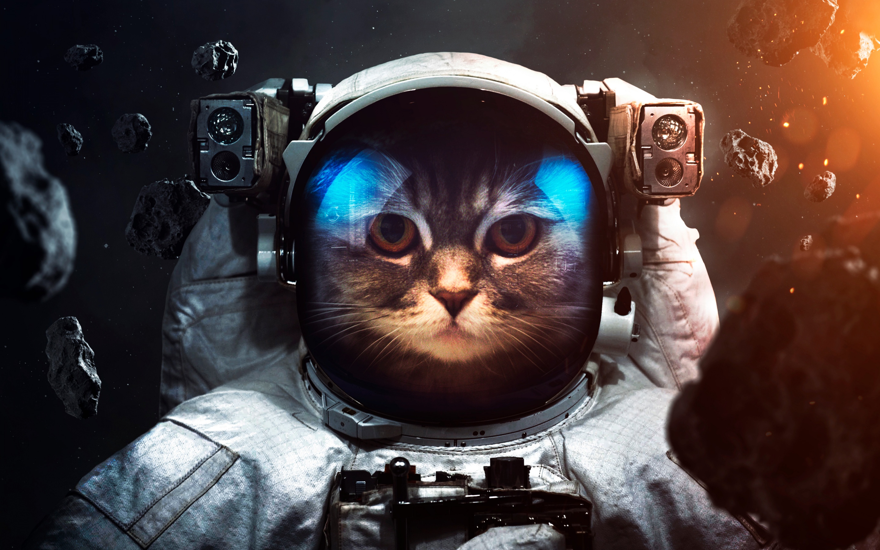 Space Suit 4K Wallpaper, Cat, Asteroids, Astronaut, Stars, Space, #2483