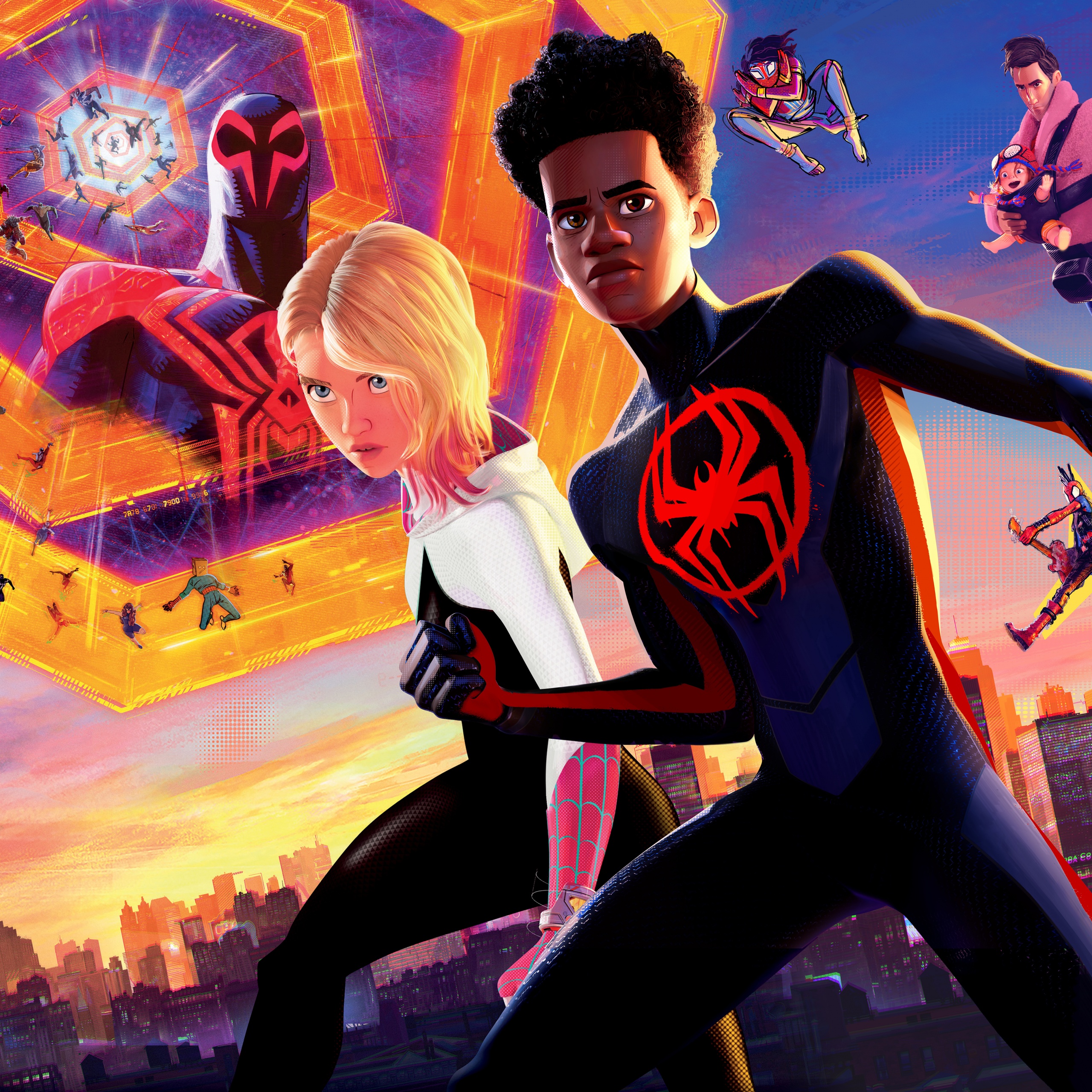 Spider Man Into The Spider Verse HD Wallpapers, 1000+ Free Spider Man Into  The Spider Verse Wallpaper Images For All Devices