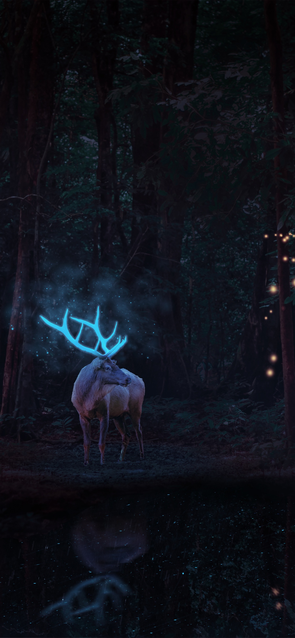 Stag Wallpaper 4K, Deer, Forest Trees, Animals, #6883