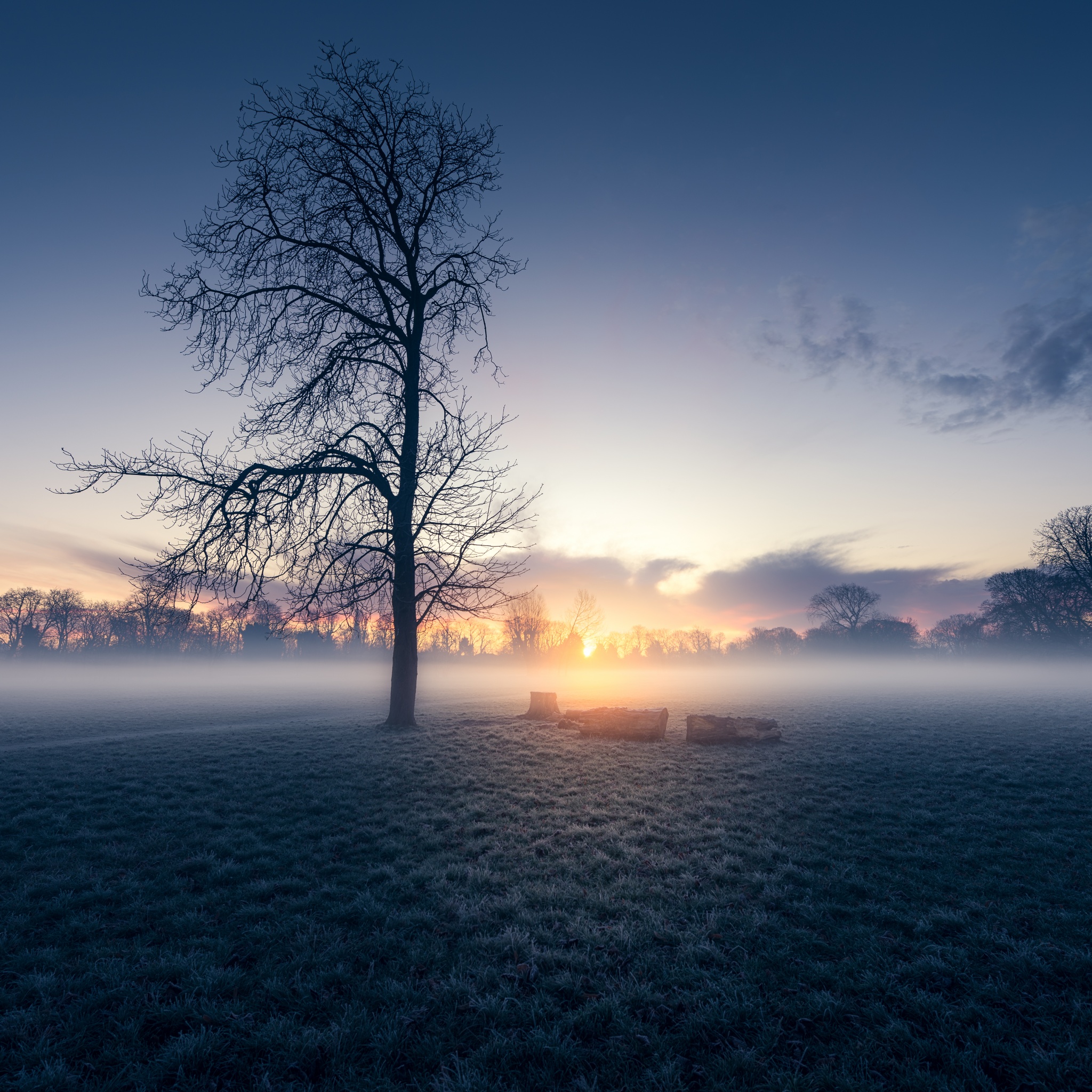 1,000+ Free Morning Mist & Nature Images - Pixabay