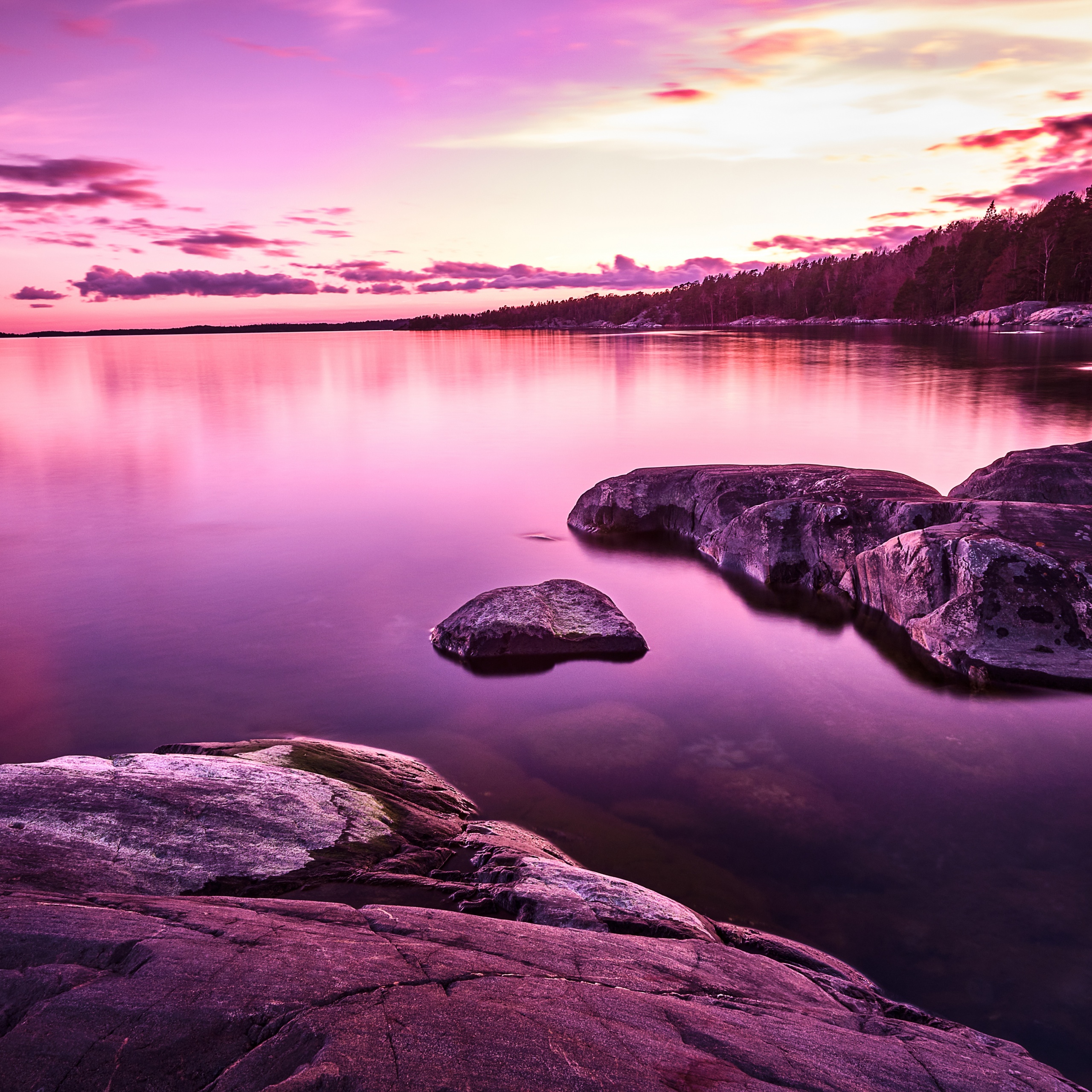 Pink Sunset HD Nature 4k Wallpapers Images Backgrounds Photos and  Pictures