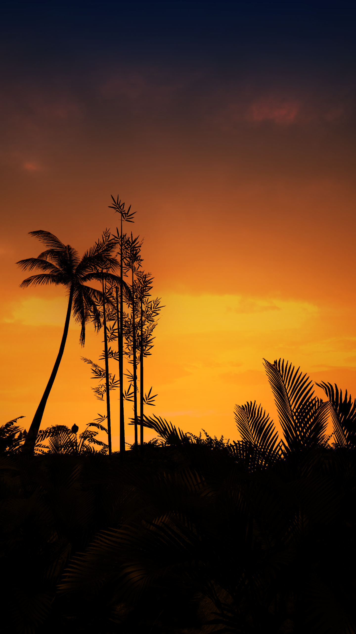 Sunset Wallpaper 4K, Silhouette, Evening, Nature, #6414