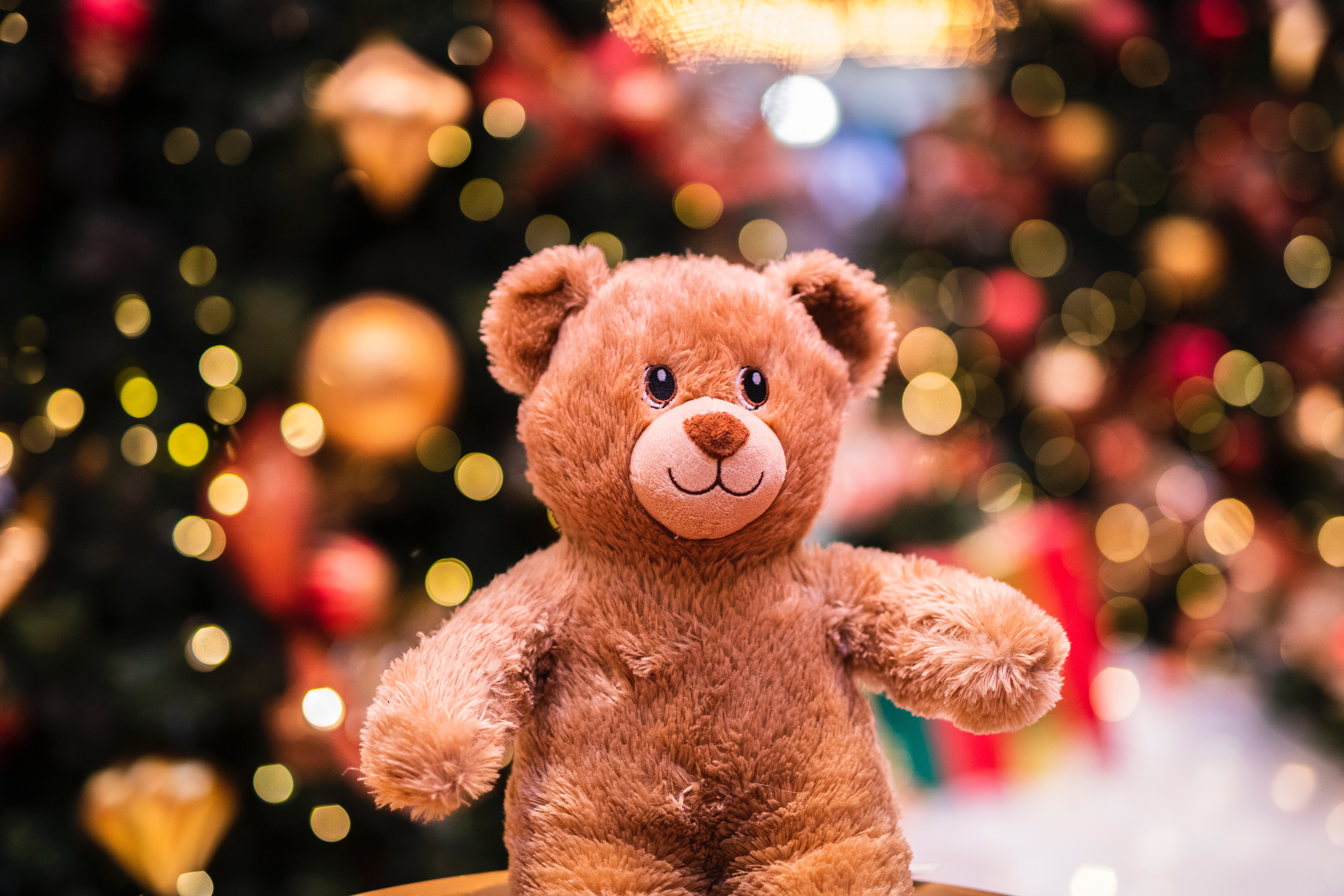 Teddy bear Wallpaper 4K, Cute Christmas, Brown, Cute, #4293
