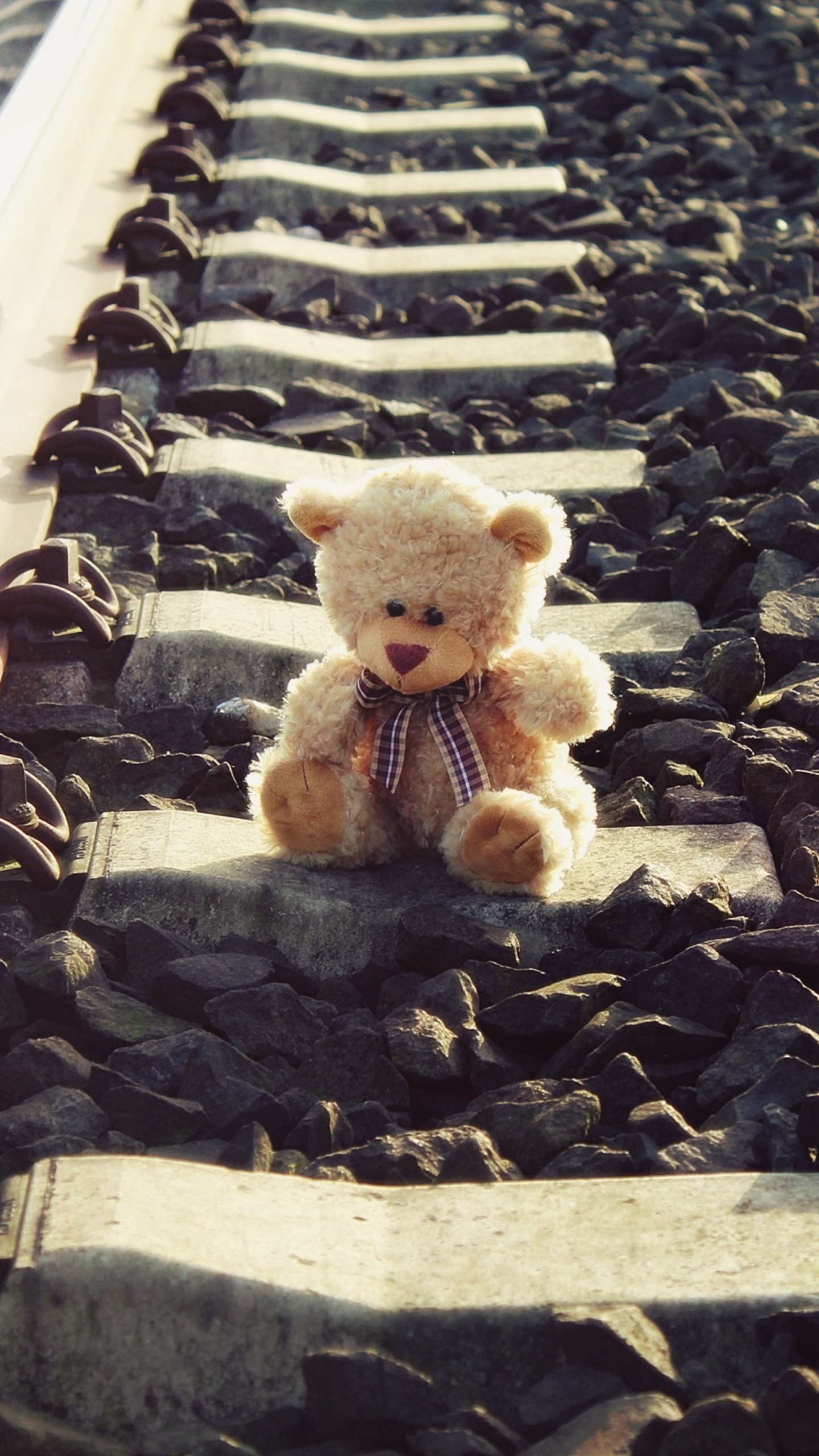 Teddy bear Wallpaper 4K, Brown, Railway track, Cute, #4633