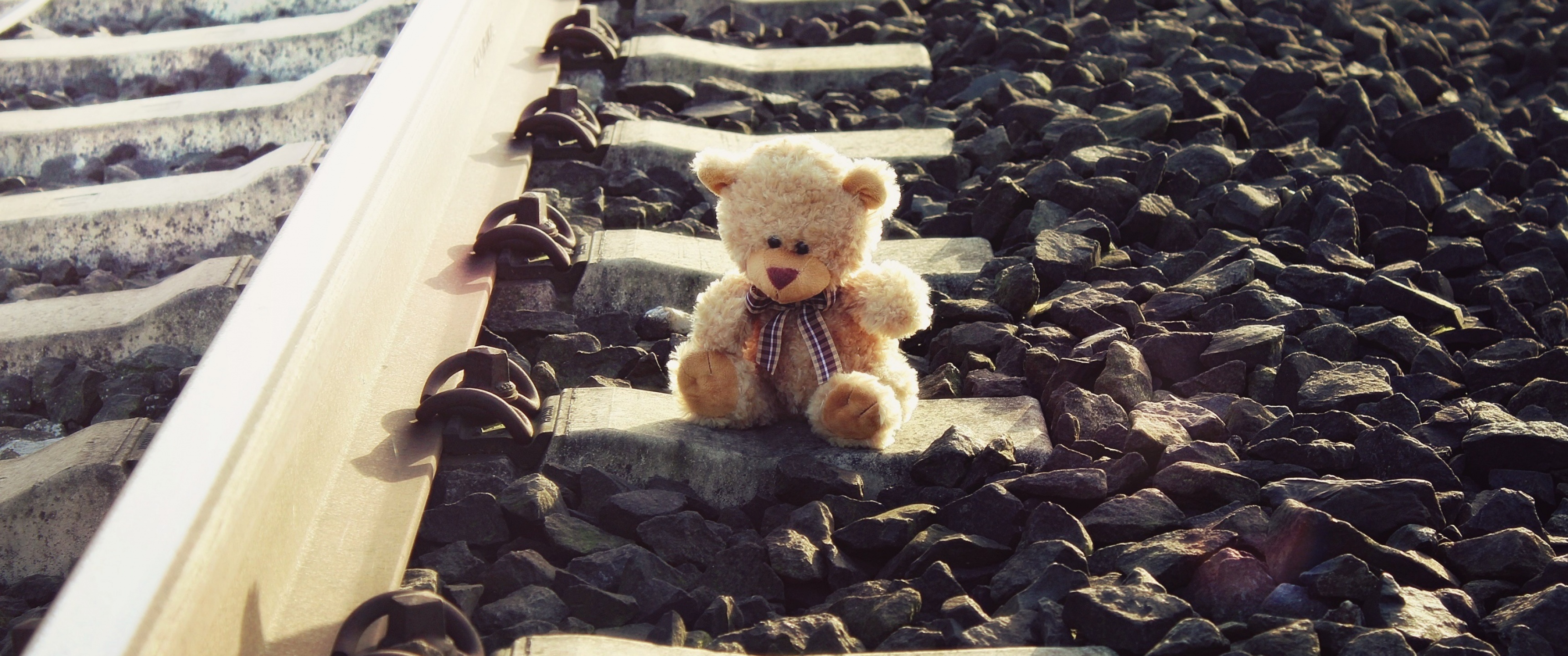 Teddy bear Wallpaper 4K, Brown, Railway track, Cute, #4633