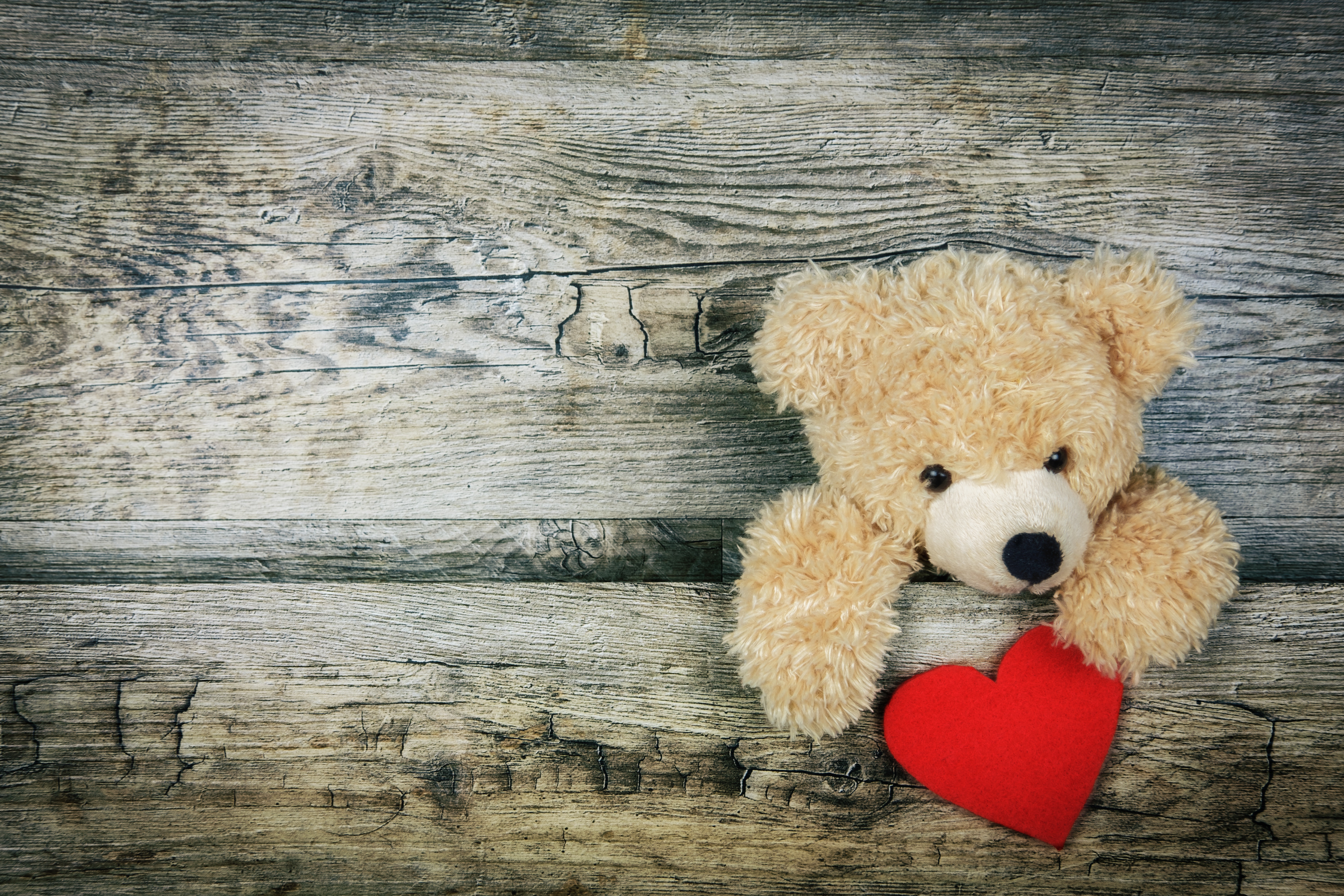 Teddy bear Wallpaper 4K, Red heart, Cute, #3541