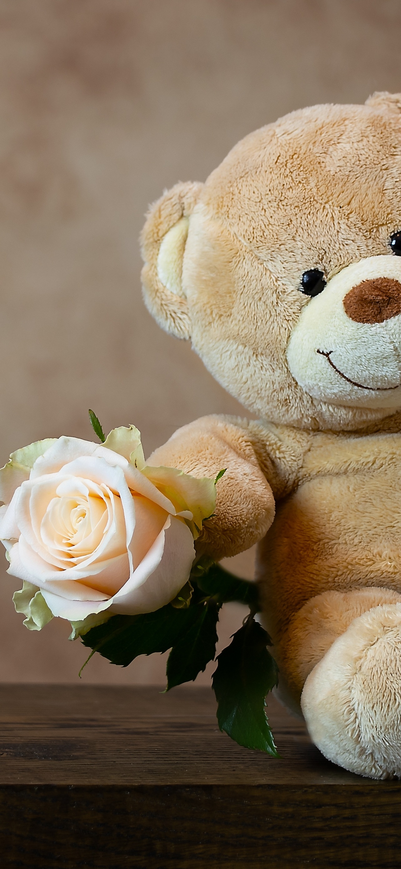 Teddy bear Wallpaper 4K, Rose, Cute toy, Gift, Valentine's Day, 5K