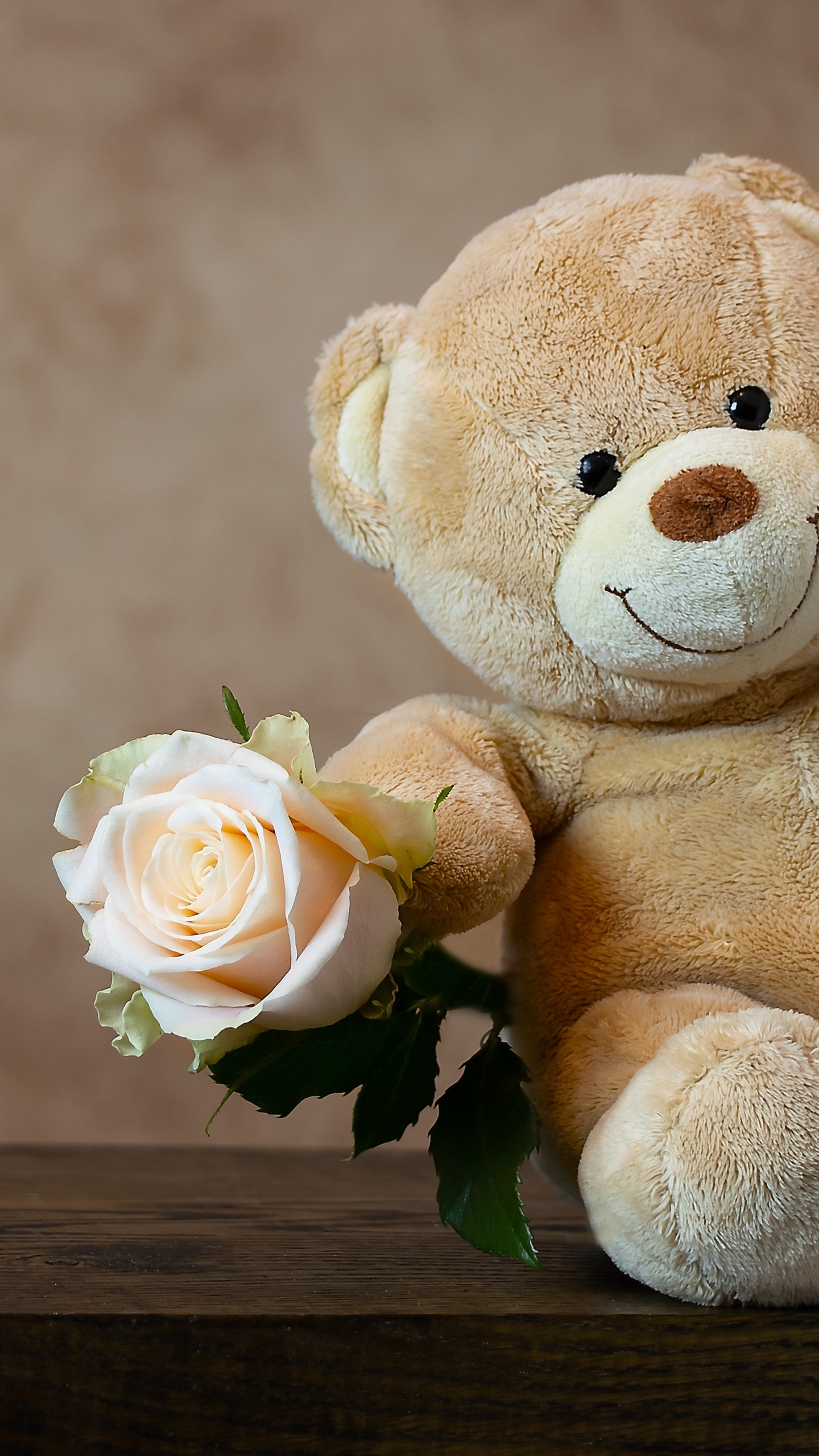 teddy wallpaper  ShareChat Photos and Videos