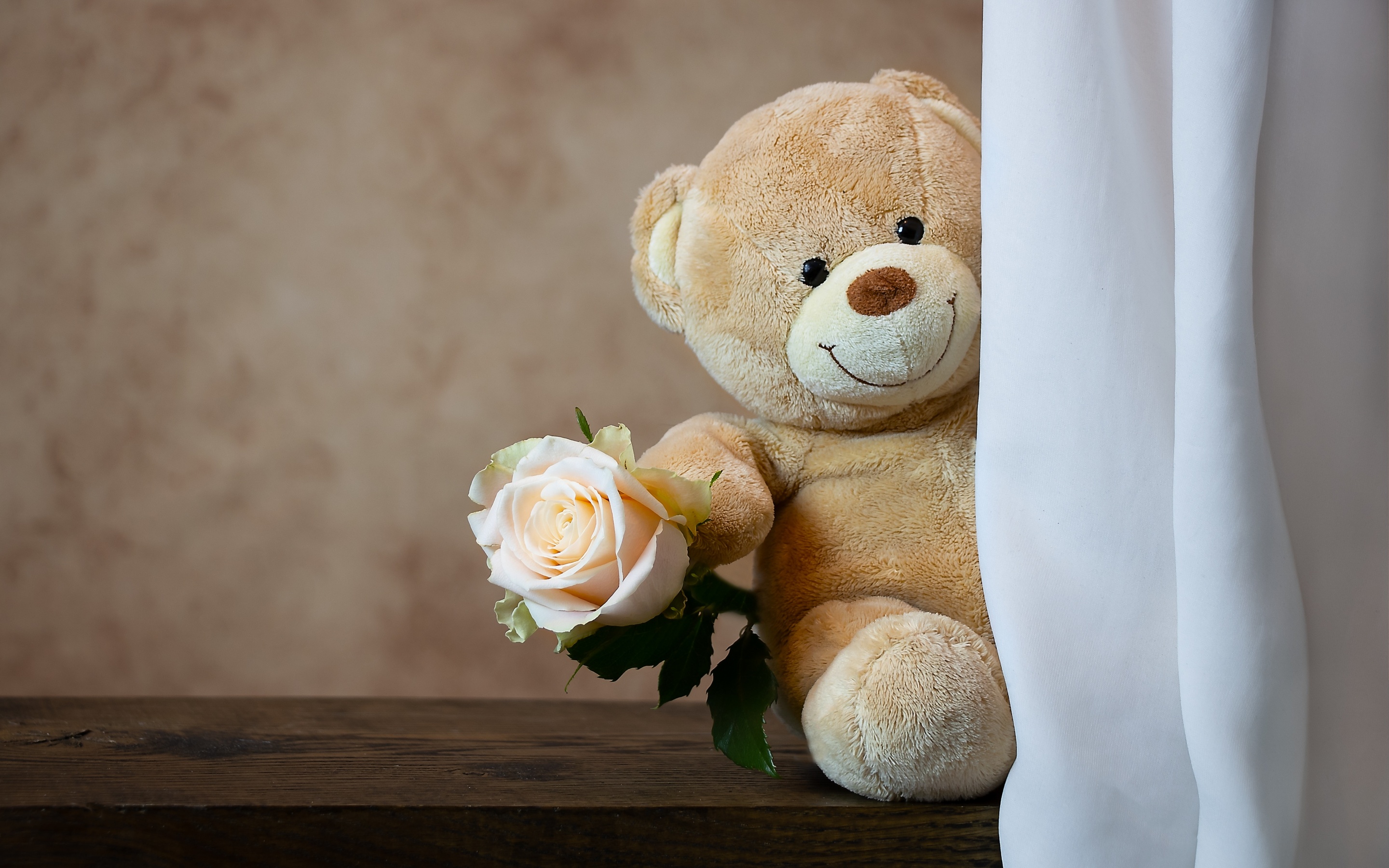 Teddy bear Wallpaper 4K, Rose, Cute toy, Gift, Cute, #441