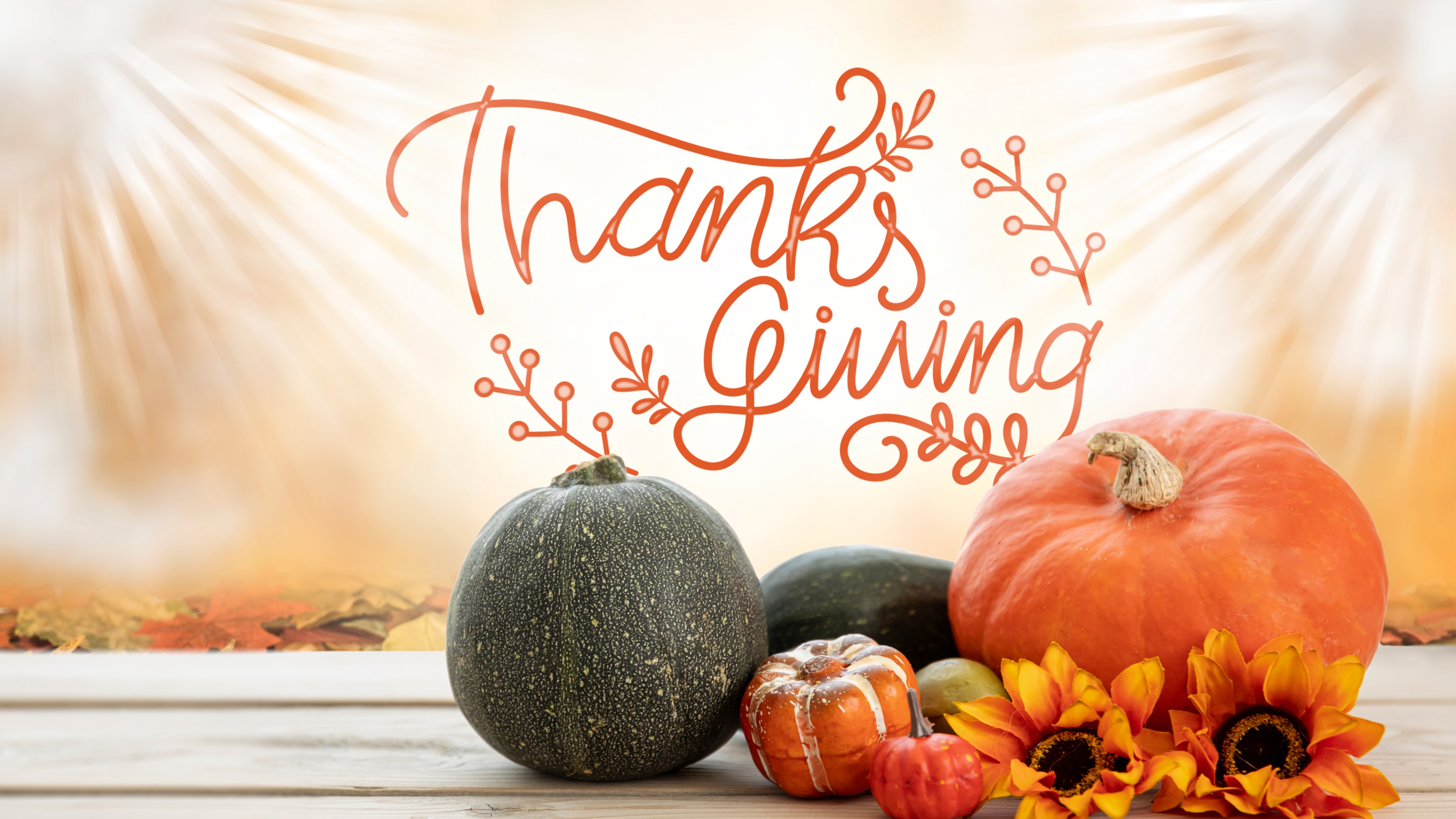 Thanksgiving Day Wallpaper 4K, Happy Thanksgiving, Pumpkins