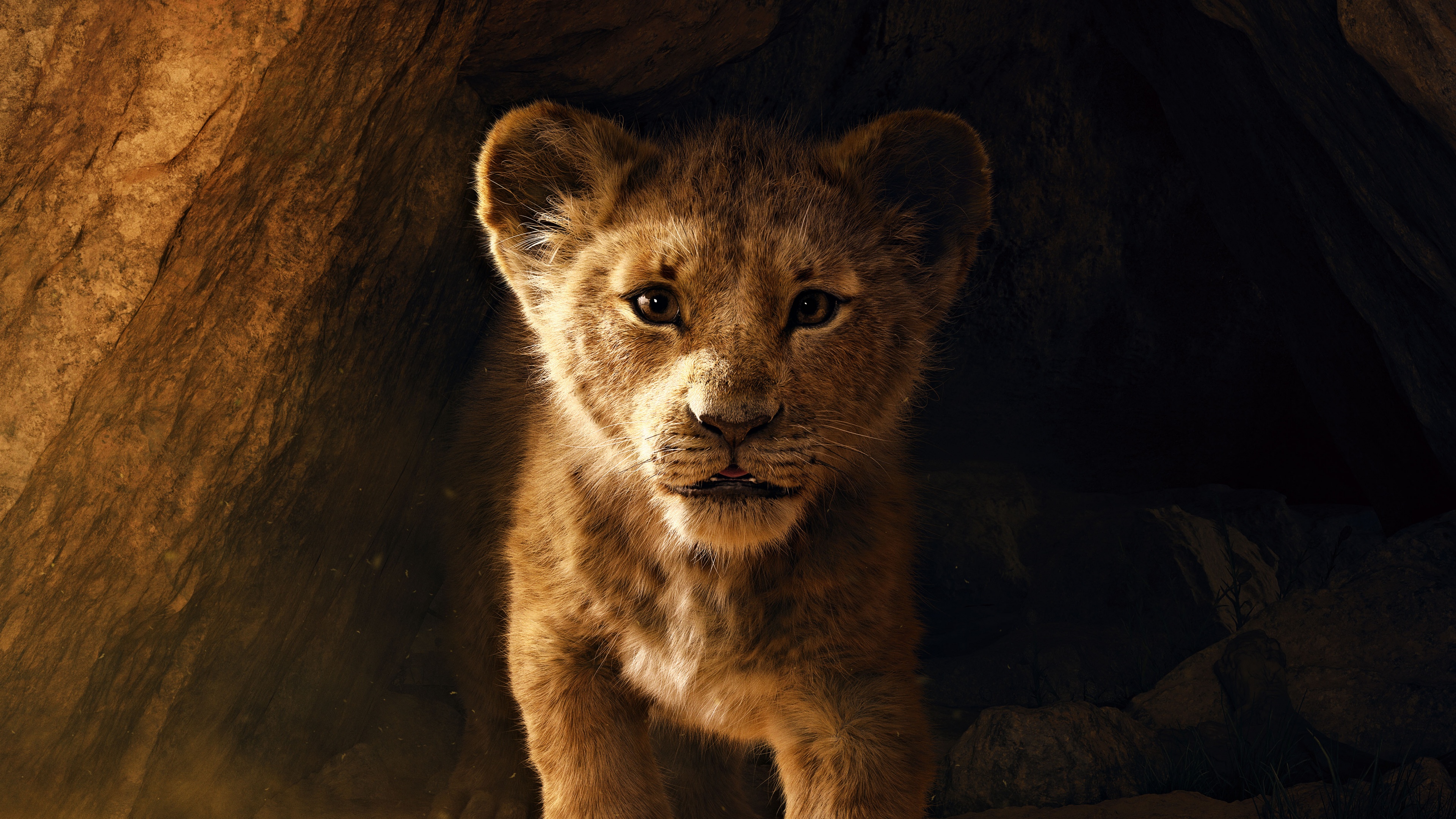 The Lion King Wallpaper 4K, Simba, Lion cub, 5K, Movies, #944