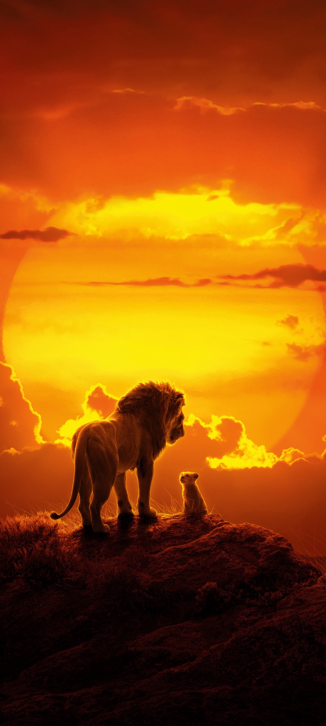 The Lion King Wallpaper 4K, Simba, Mufasa, Lion cub, Animation, Movies
