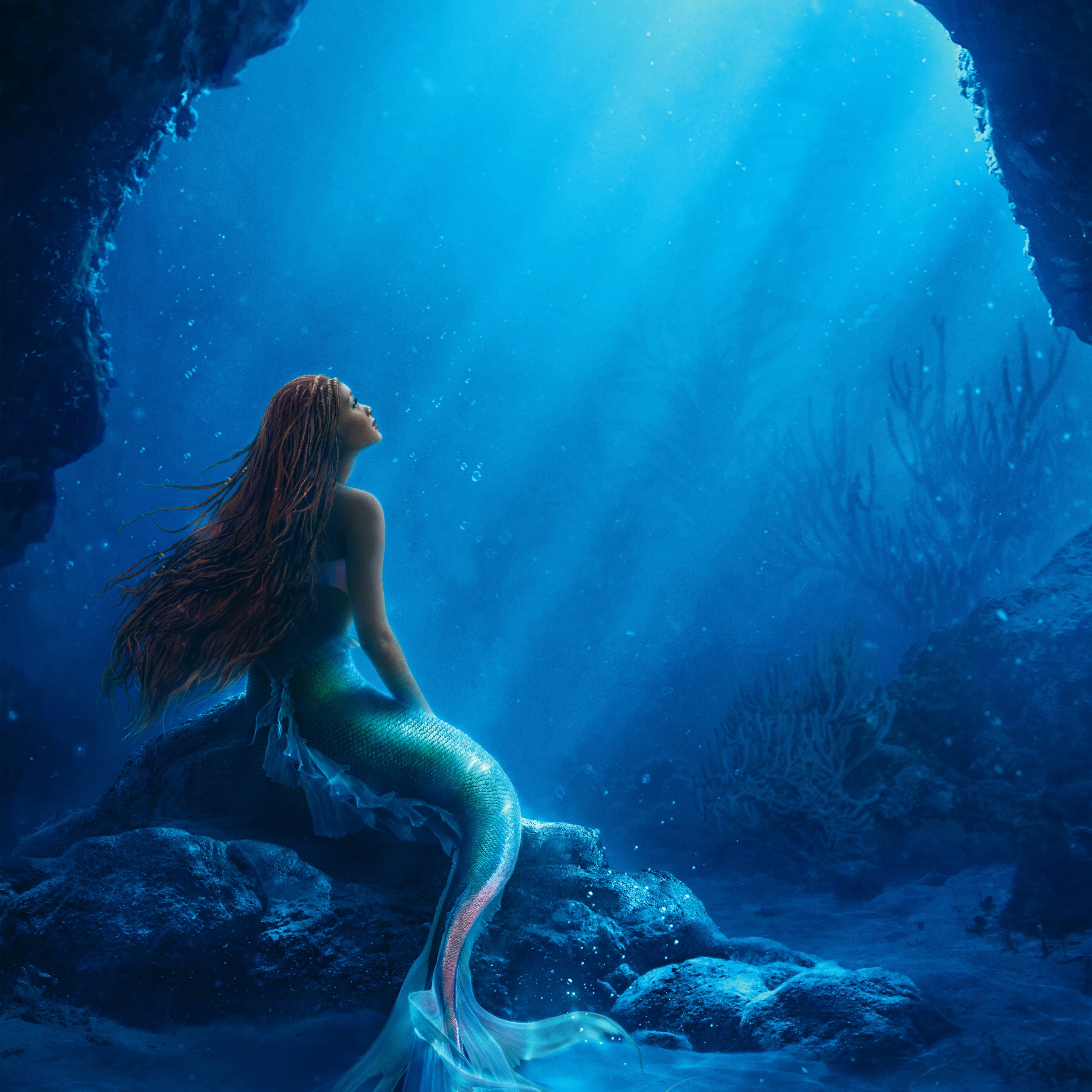 Hình nền Little Mermaid Disney sẽ đưa bạn tới với thế giới ma thuật của cô bé cá nhỏ. Bộ hình này được thiết kế nhẹ nhàng, độc đáo và đậm chất cổ tích. Hãy cùng khám phá thế giới dưới biển cùng với chúng tôi.