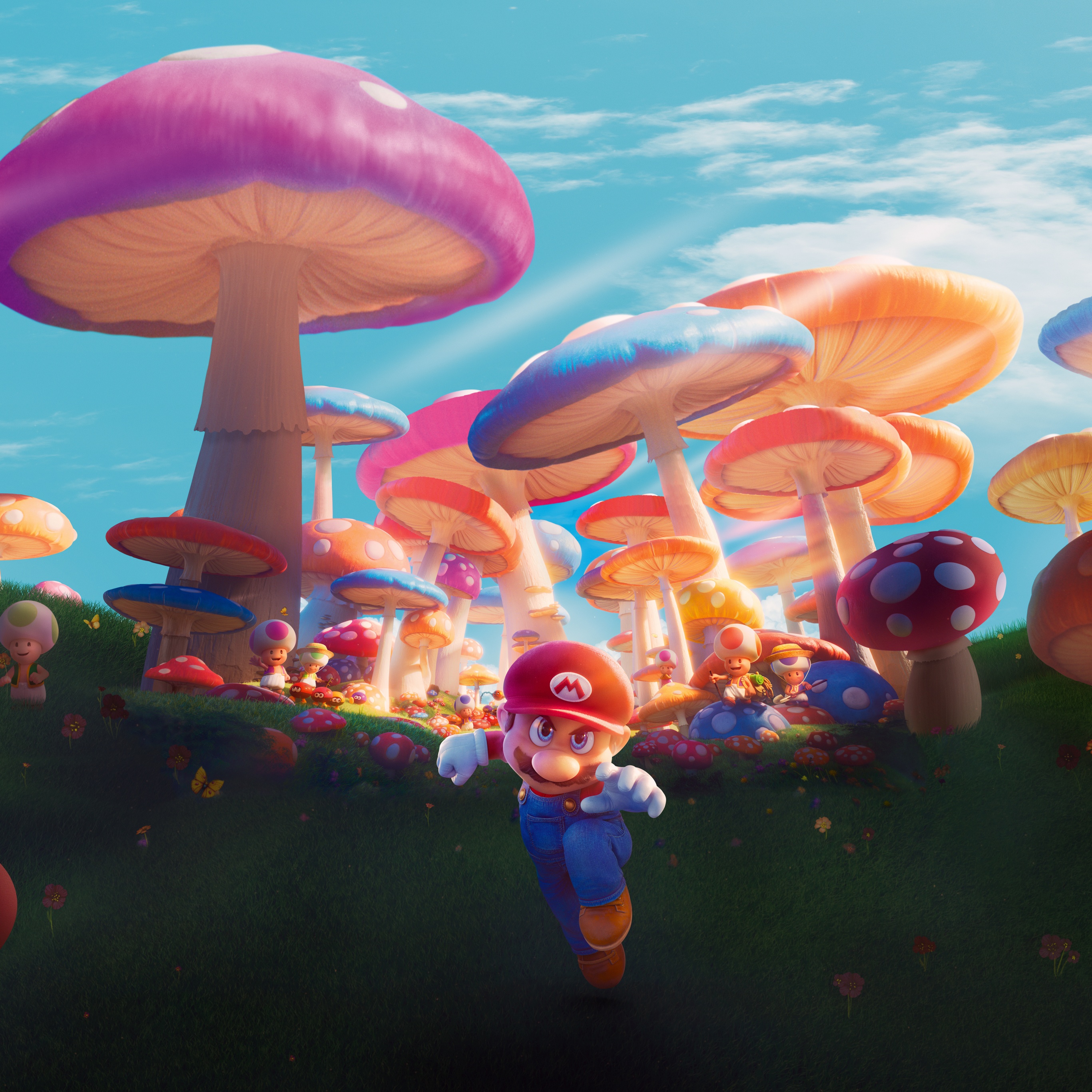 Mario bros 2023. Марио гриб. Марио гриб разноцветный.
