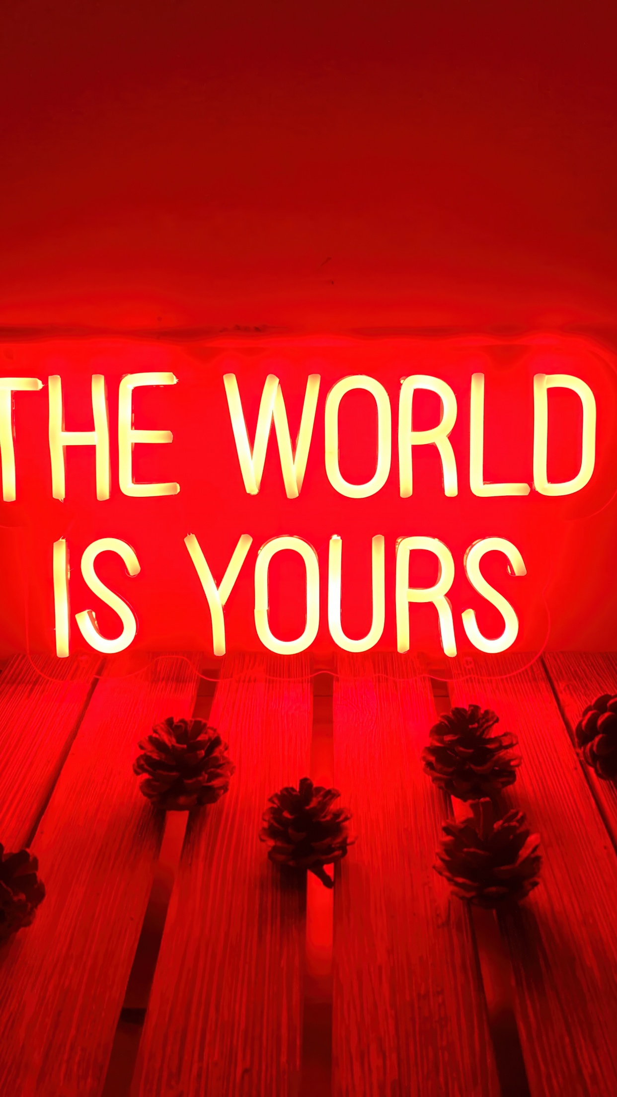 The world is yours by NANCHIN on Dribbble