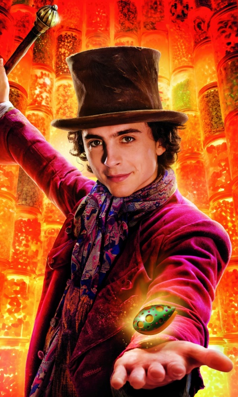 Timothée Chalamet as Wonka 2023 5K Wallpaper