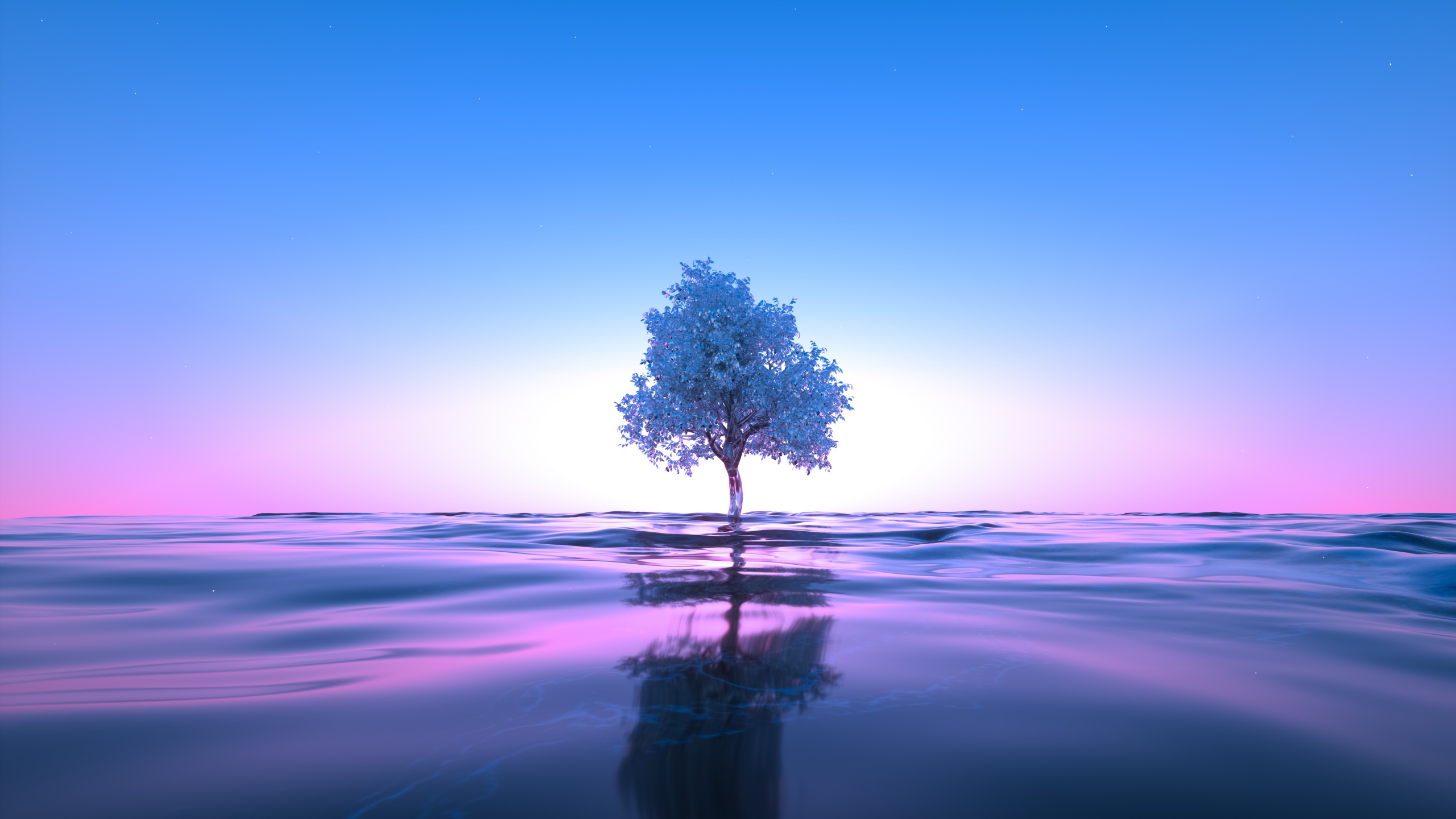 200000 Beautiful Tree Images  Free Pictures HD  Pixabay
