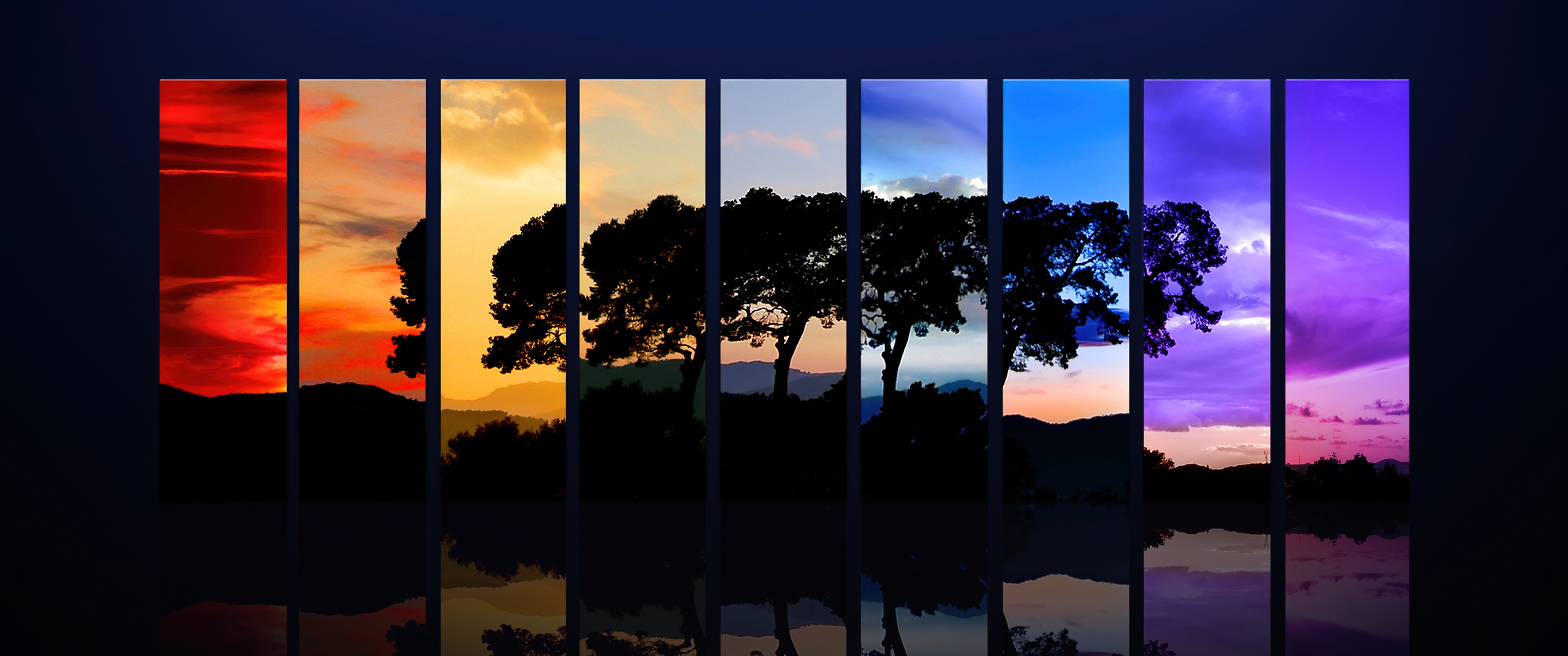 Tree Wallpaper 4K, Sunset, Daylight, Nature, #6054