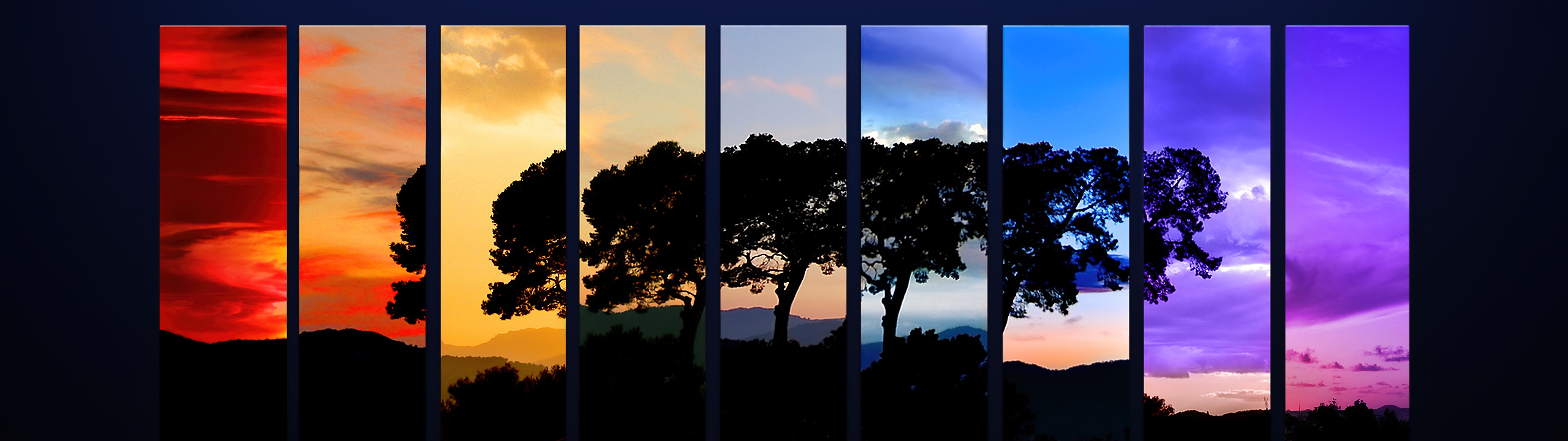 Tree Wallpaper 4K, Sunset, Daylight, Nature, #6054