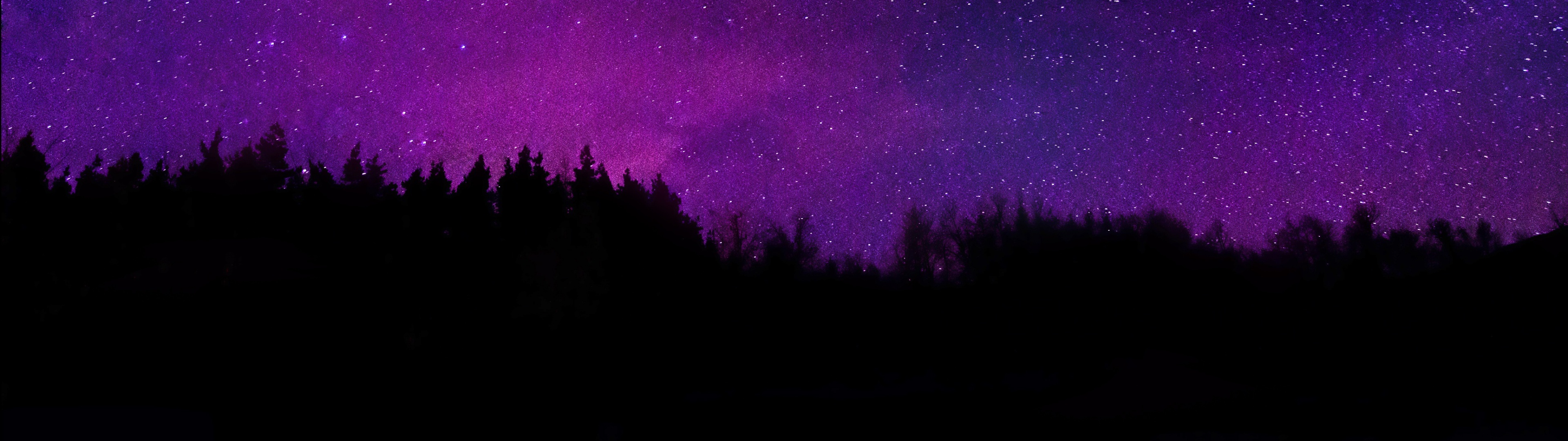 Trees Wallpaper 4K, Silhouette, Purple sky, Nature, #4294