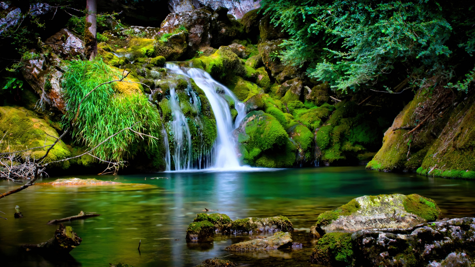 Free Waterfall In Deep Forest Photos and Vectors