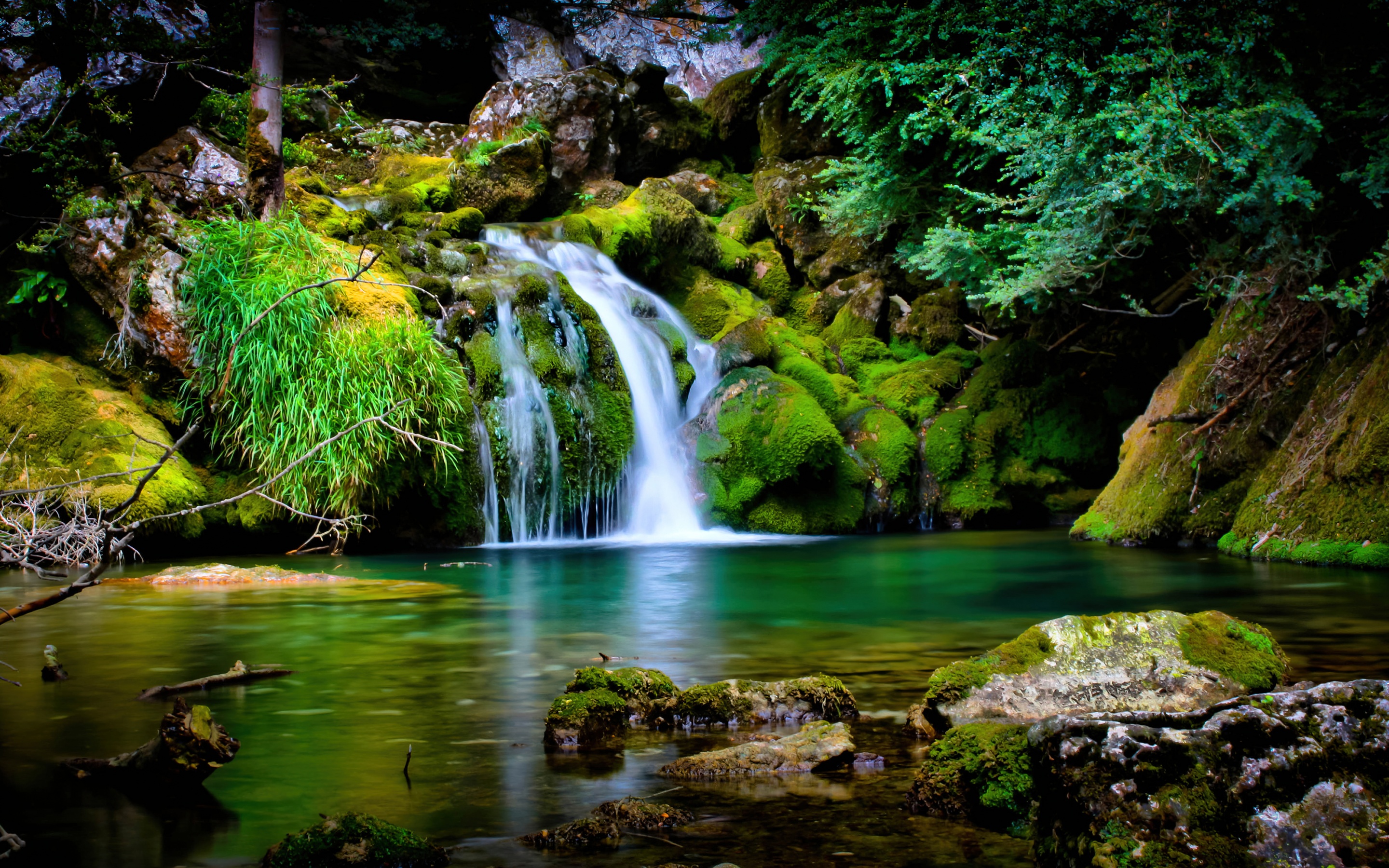 Tropical forest Wallpaper 4K, Waterfall, Green, Nature, #6087