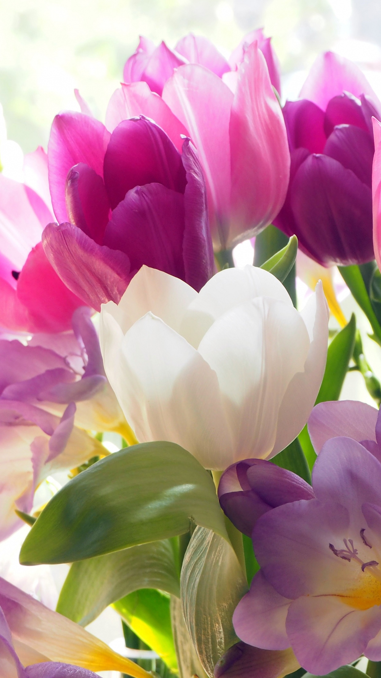 Tulips Wallpaper 4K, Crocus flowers, Colorful, Bouquet, 5K, Flowers, #1309