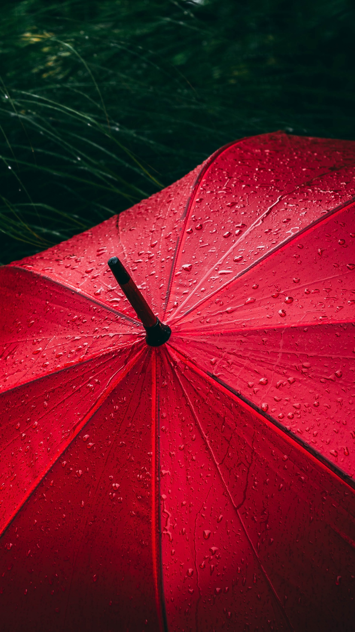 Umbrella 4K Wallpaper, Red, Rain droplets, Rainy day, 5K, Photography, #707