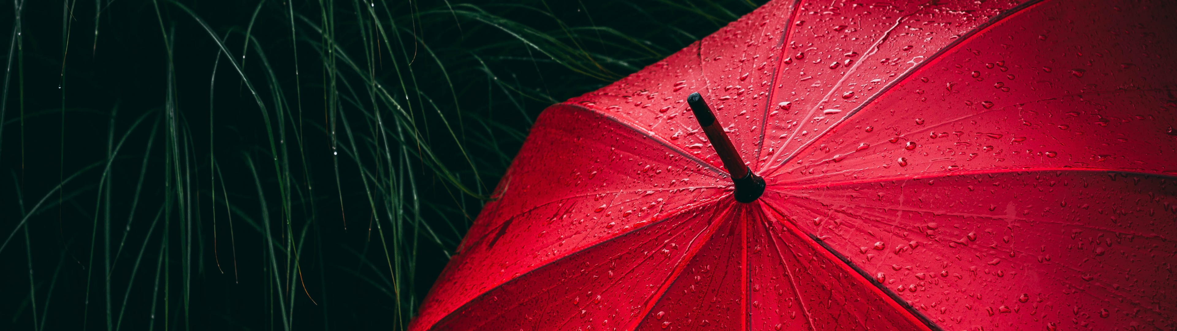 Umbrella Wallpaper 4K, Red, Rain droplets, Photography, #707