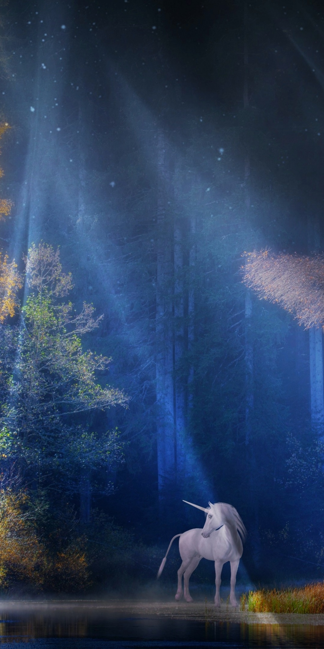 Unicorn Wallpaper 4K, Fairy tale, Mythical, Light beam, Forest, Woods