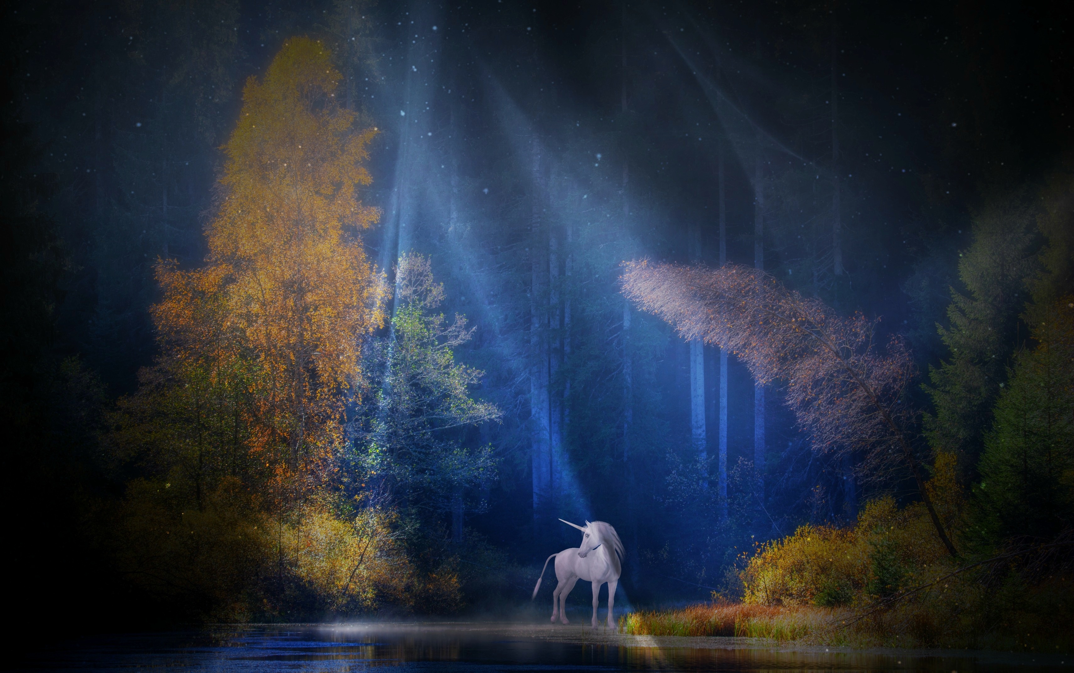 Единорог ночи. Единорог в лесу. Единорог фэнтези. Единорог ночью. Волшебный лес единорогов.