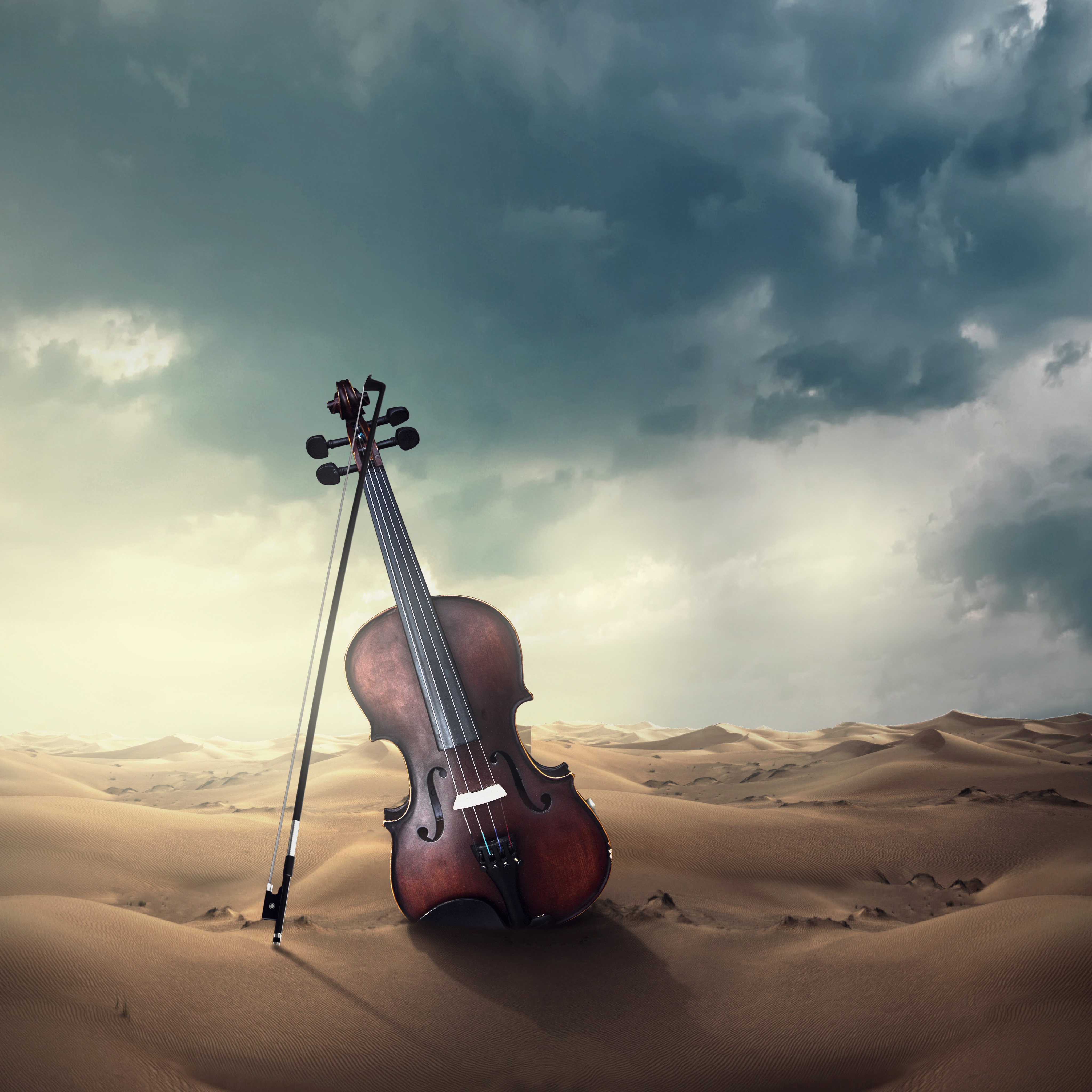 Violin Wallpapers, HD Violin Backgrounds, Free Images Download