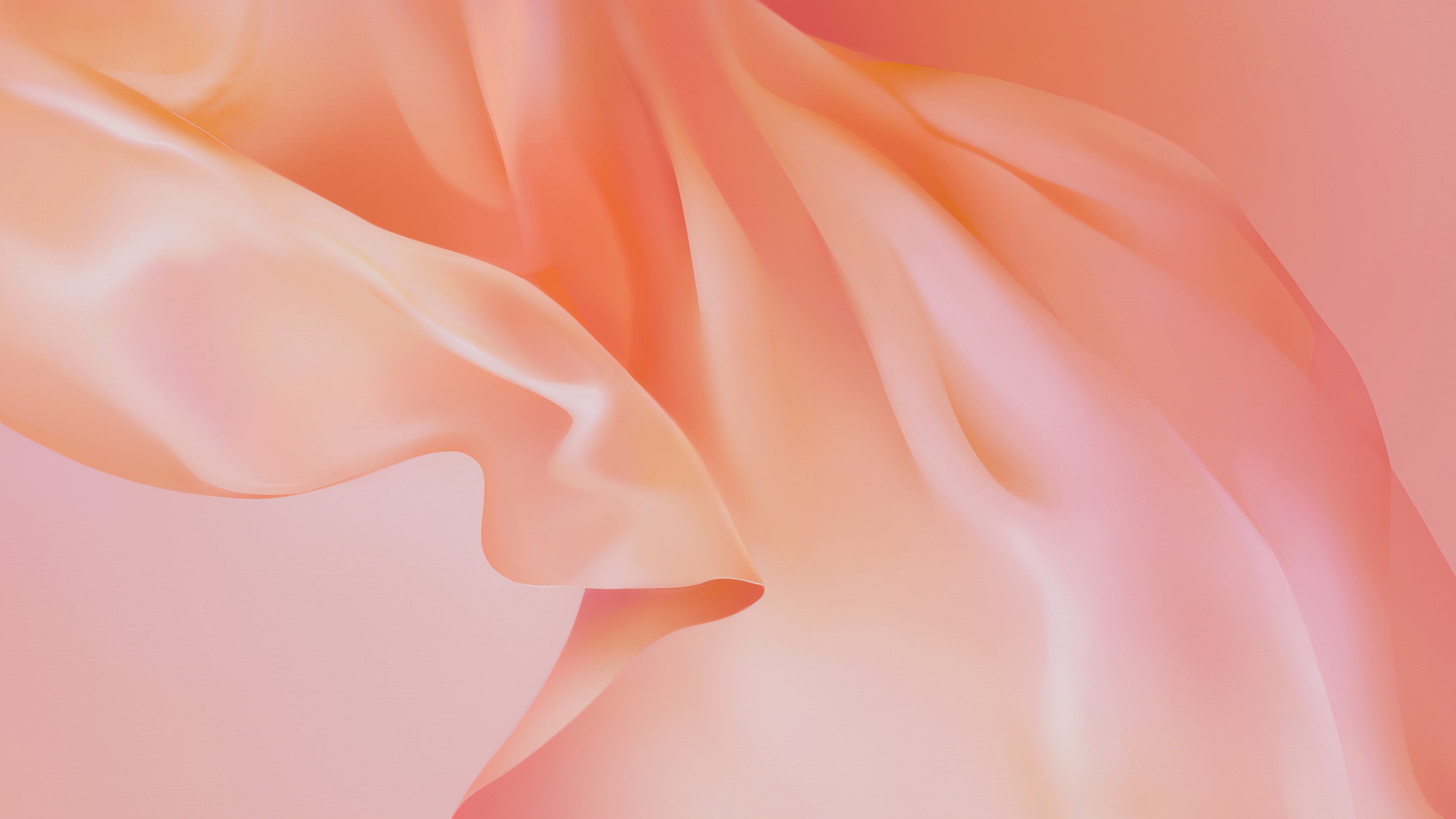 43000 Peach Color Background Pictures