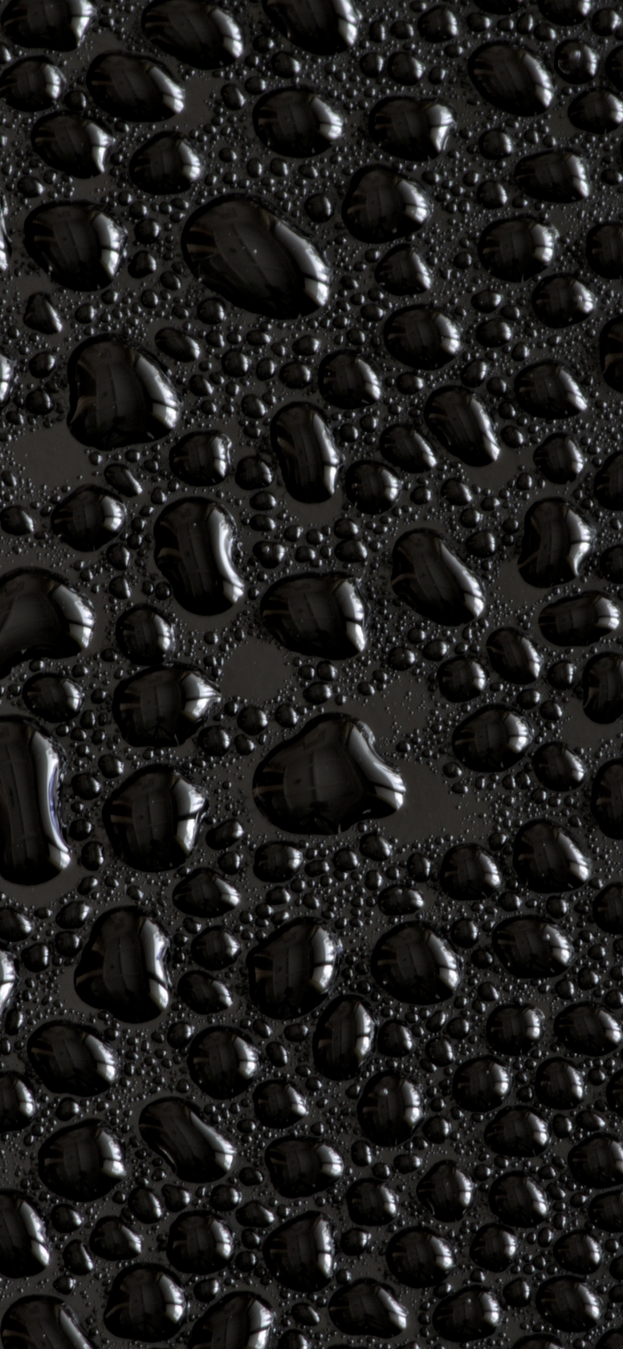 500 Free Black Rain  Rain Images  Pixabay