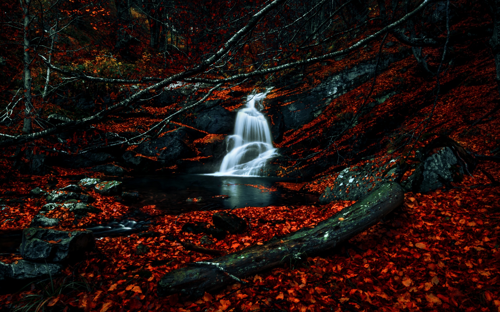 Waterfalls Wallpaper 4K, Autumn, Dark Forest, Foliage, Woods, Red
