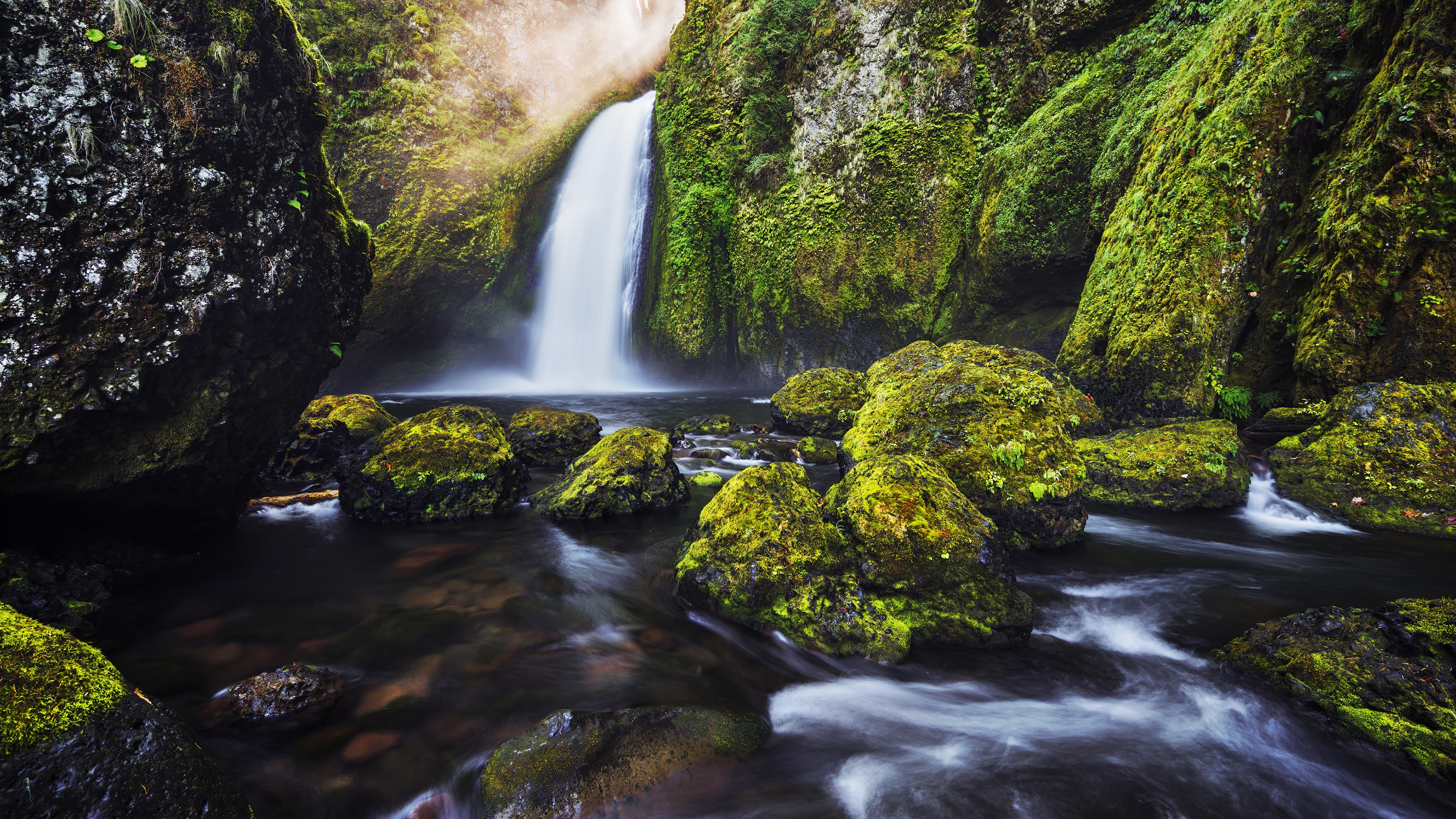 Green Mossy Rocks And Misty Water by Steve Daggar Photography