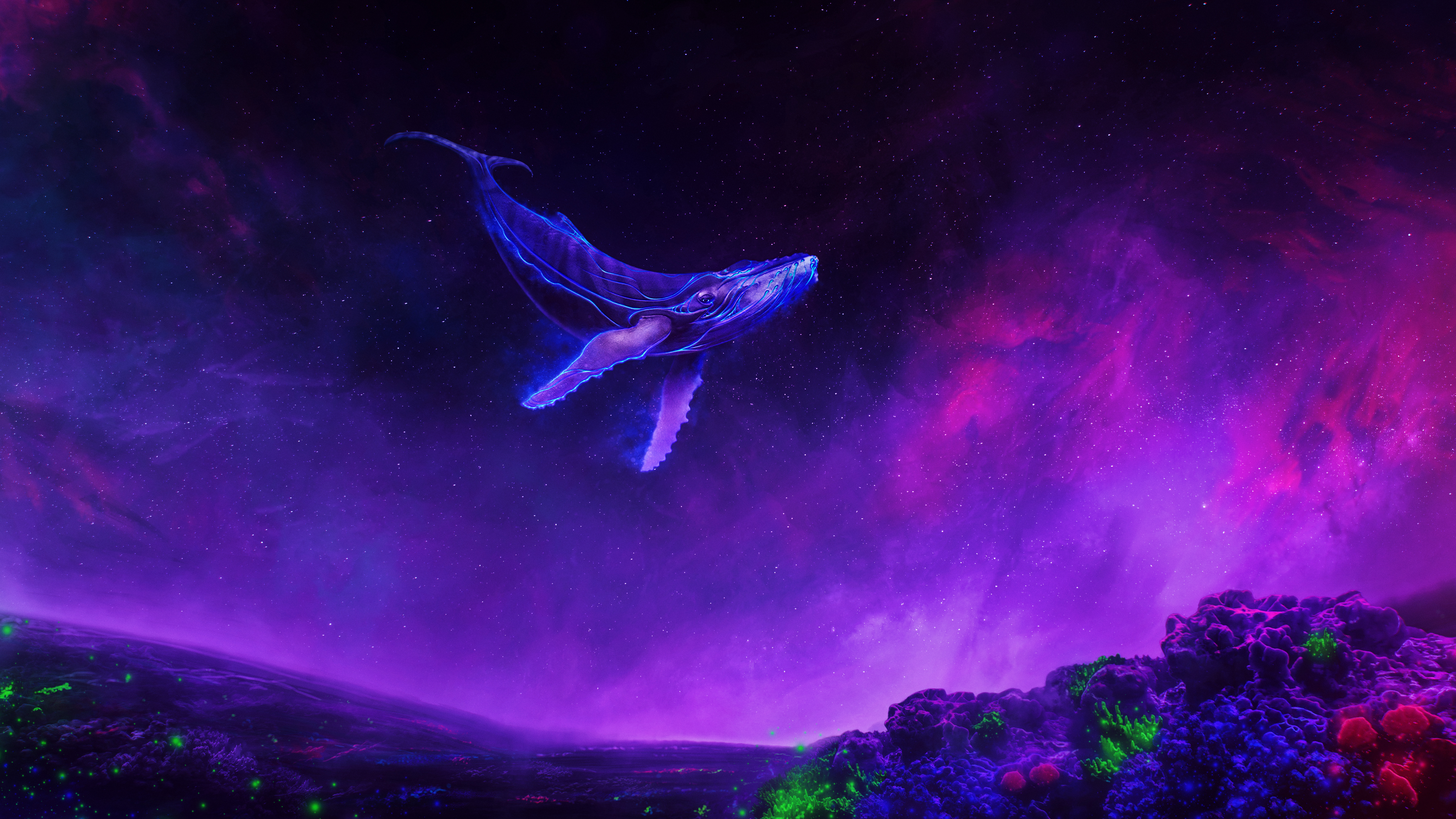 Beautiful Whale Wallpaper 4K APK for Android Download