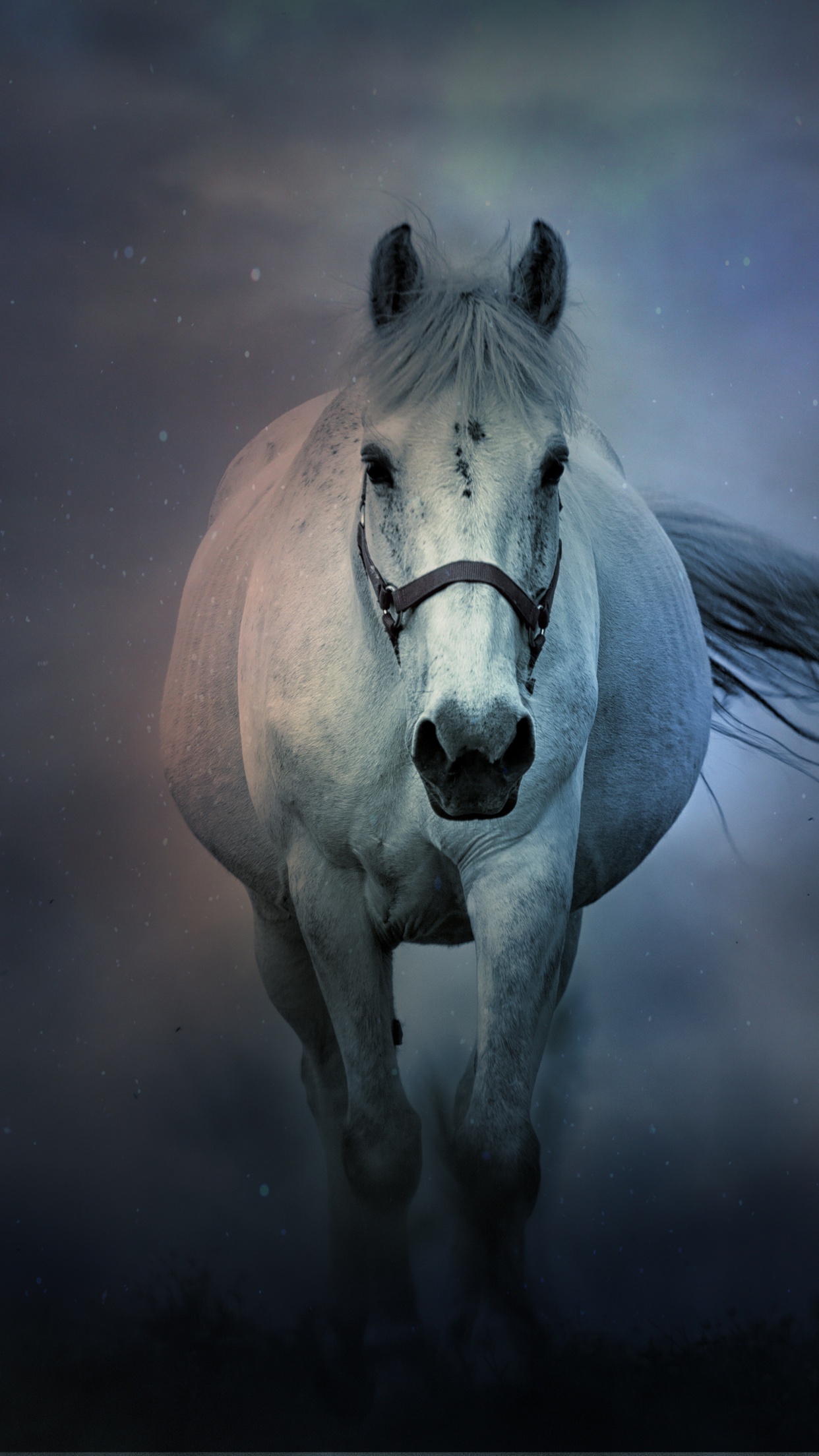 Horse Wallpaper Images - Free Download on Freepik