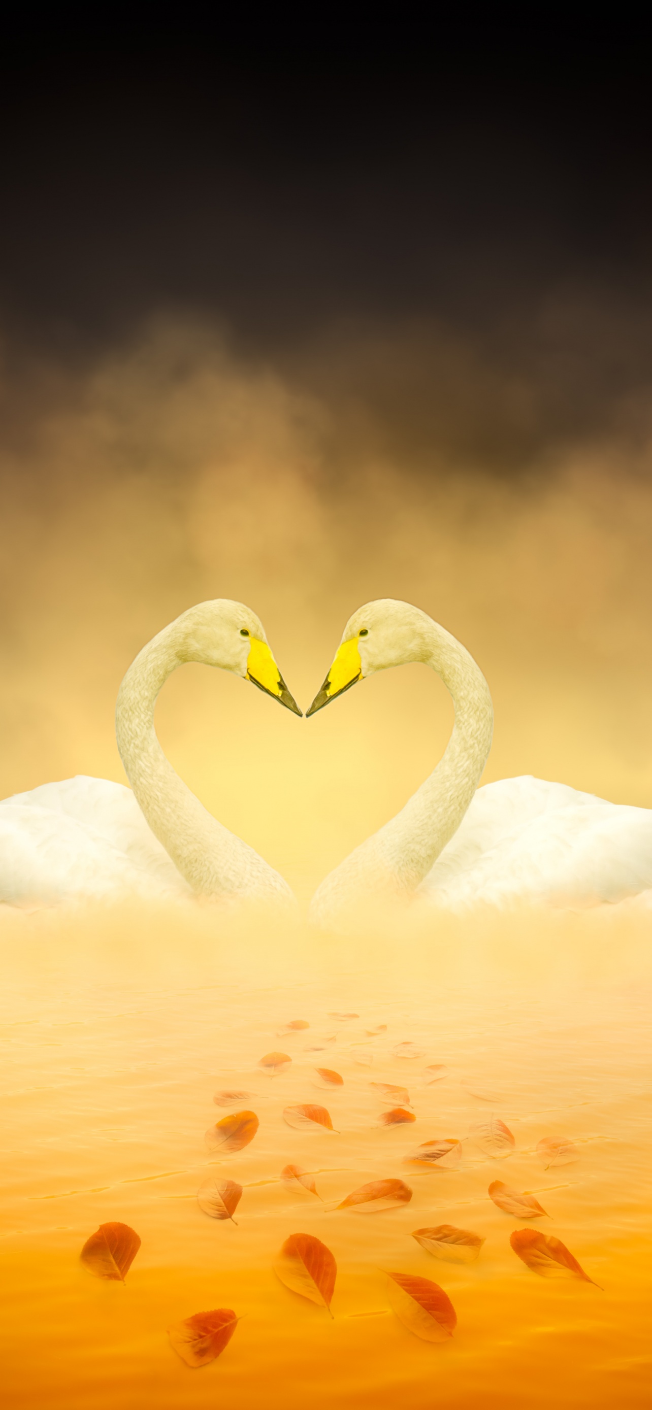 White Swan Wallpaper 4K, Love Birds, Heart shape, Autumn leaves, Yellow