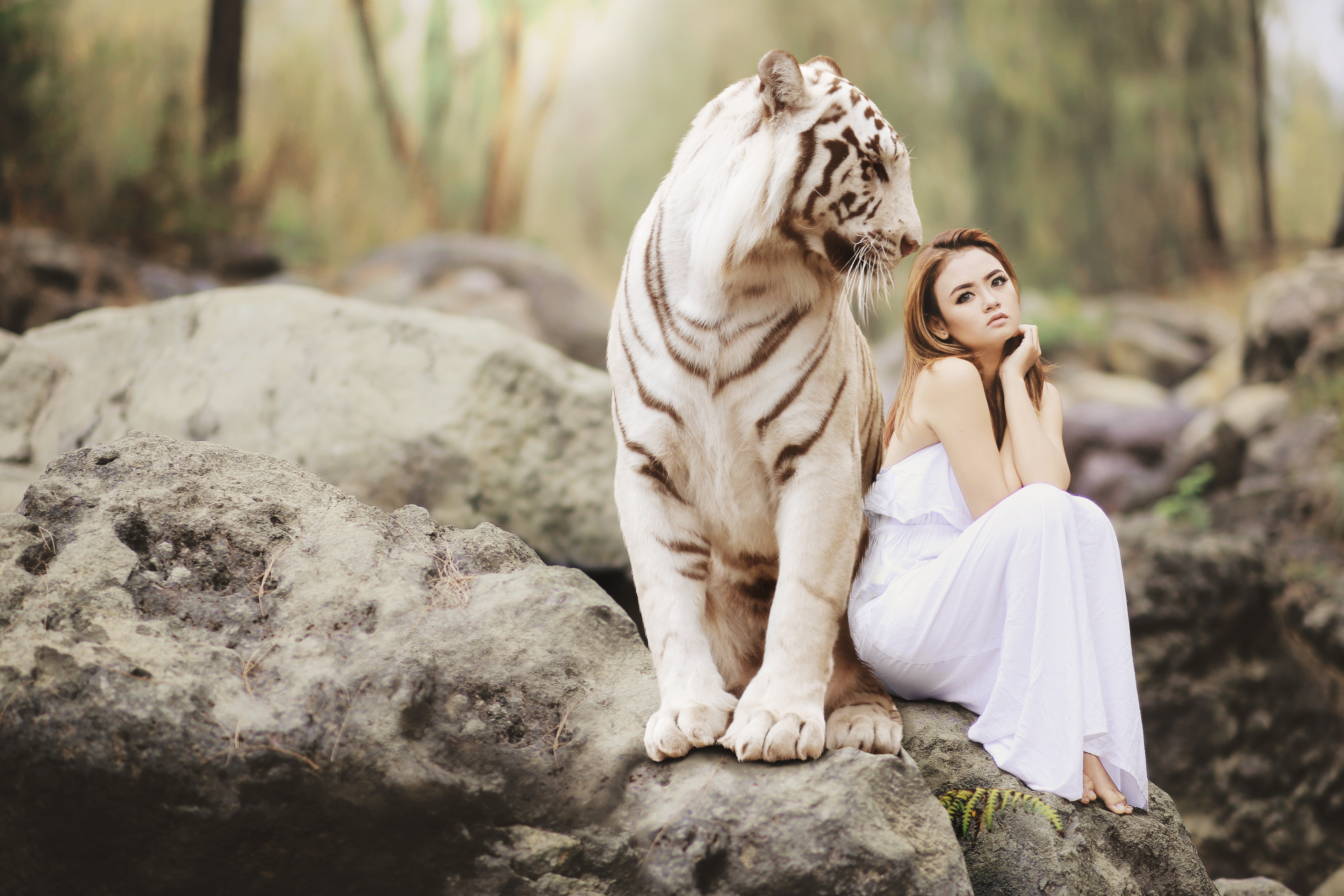 Woman with animals. Тигр и девушка. Белый тигр. Фотосессия с животными. Девушка тигрица.