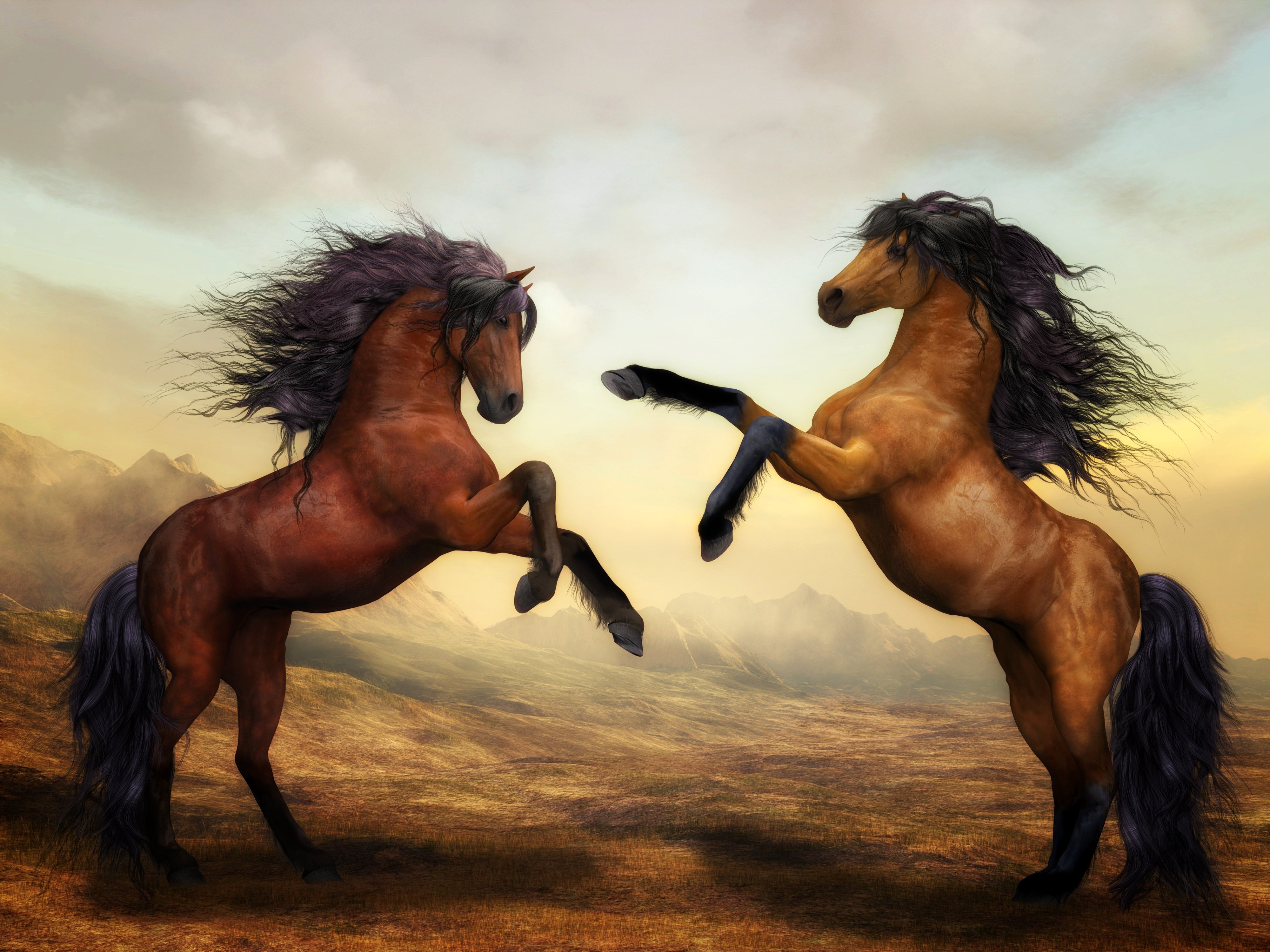 Horses Live Wallpaper HD APK for Android Download