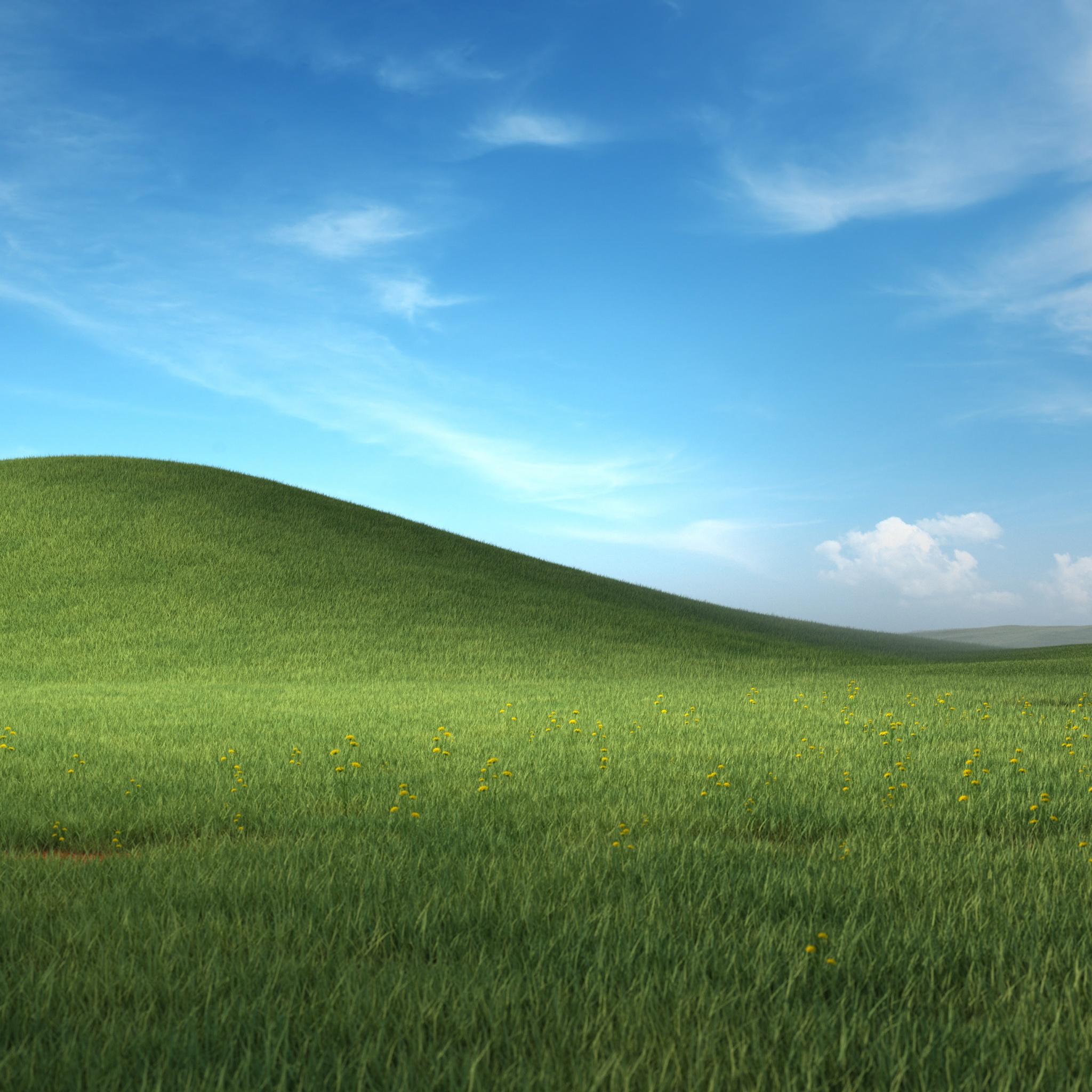 Windows XP, blur, green, nature, windows xp, HD phone wallpaper | Peakpx