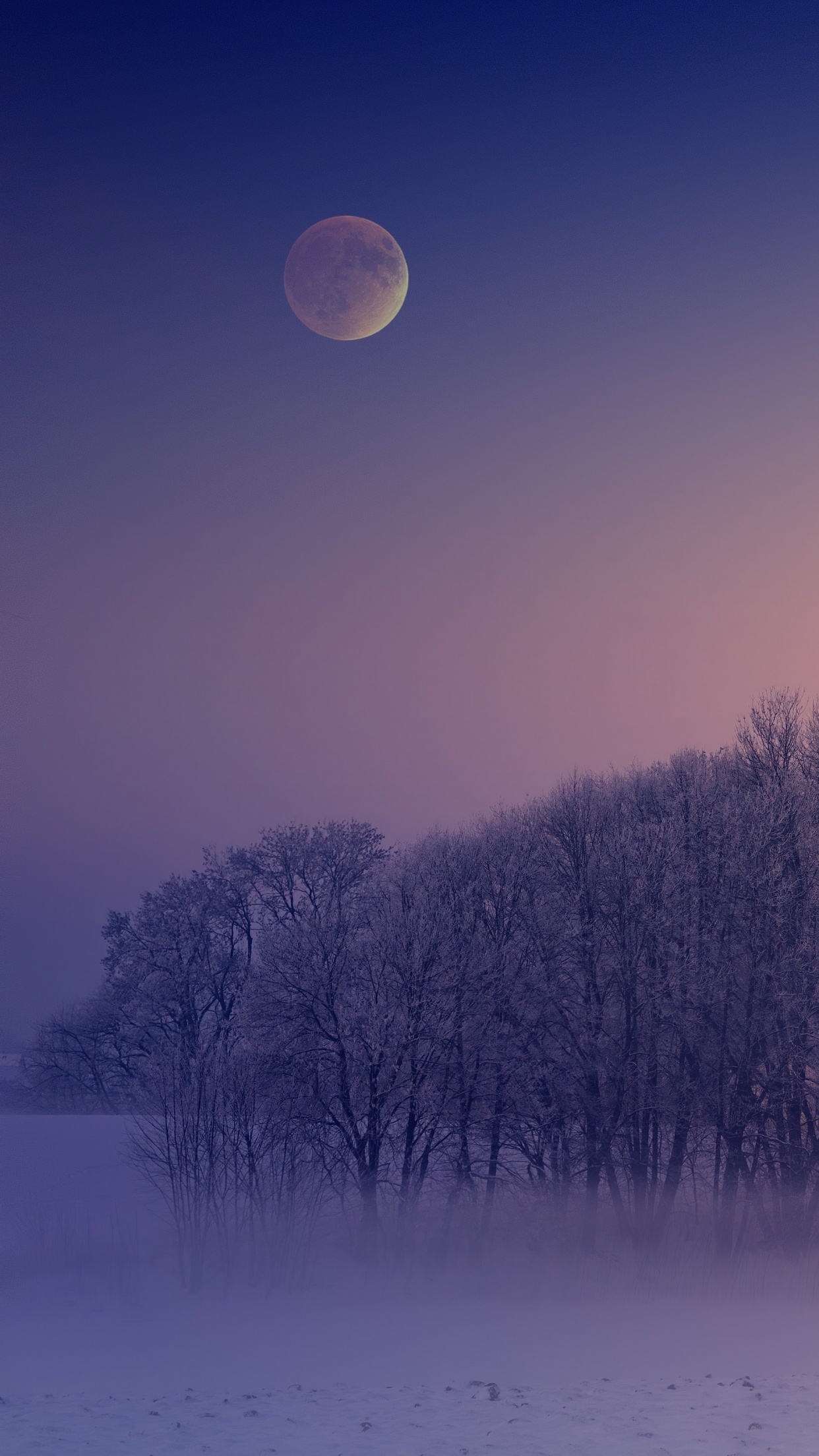 Winter 4K Wallpaper, Aesthetic, Morning, Foggy, Moon, Landscape, Cold