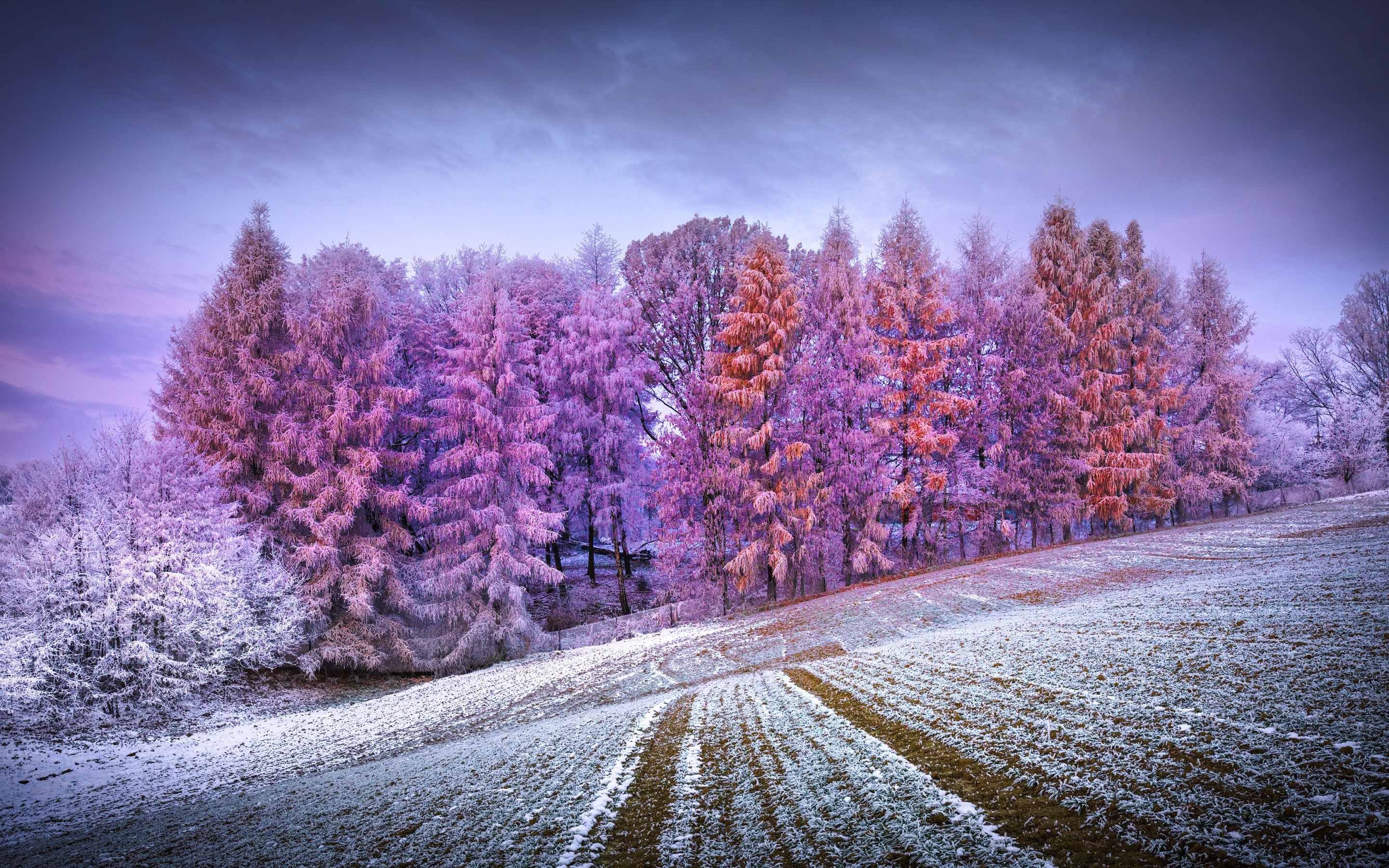 winter scenery wallpaper