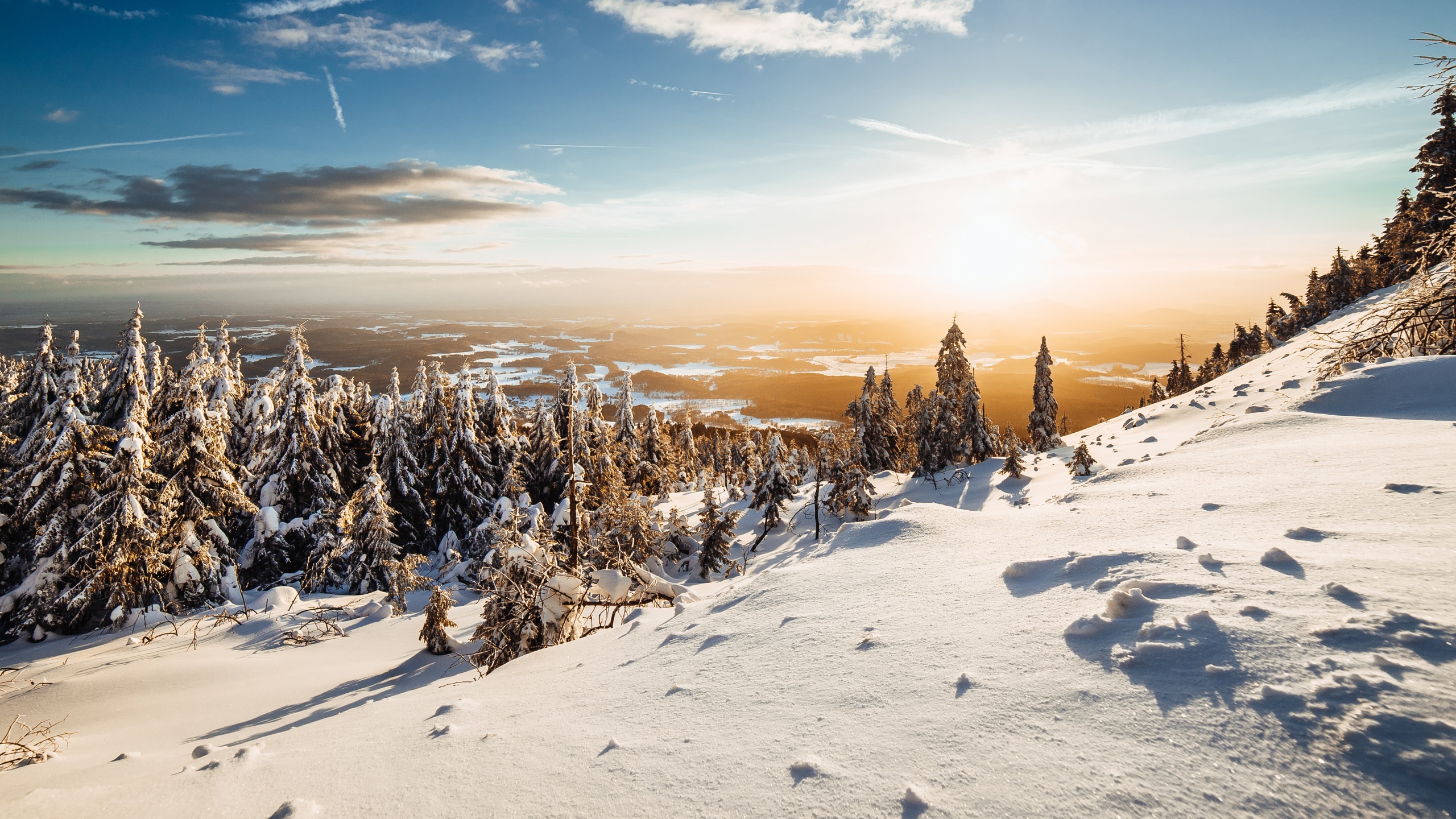 Winter 4k Wallpaper Landscape Pine Trees Frosted Trees Sunny Day Snow 5k Nature 1338