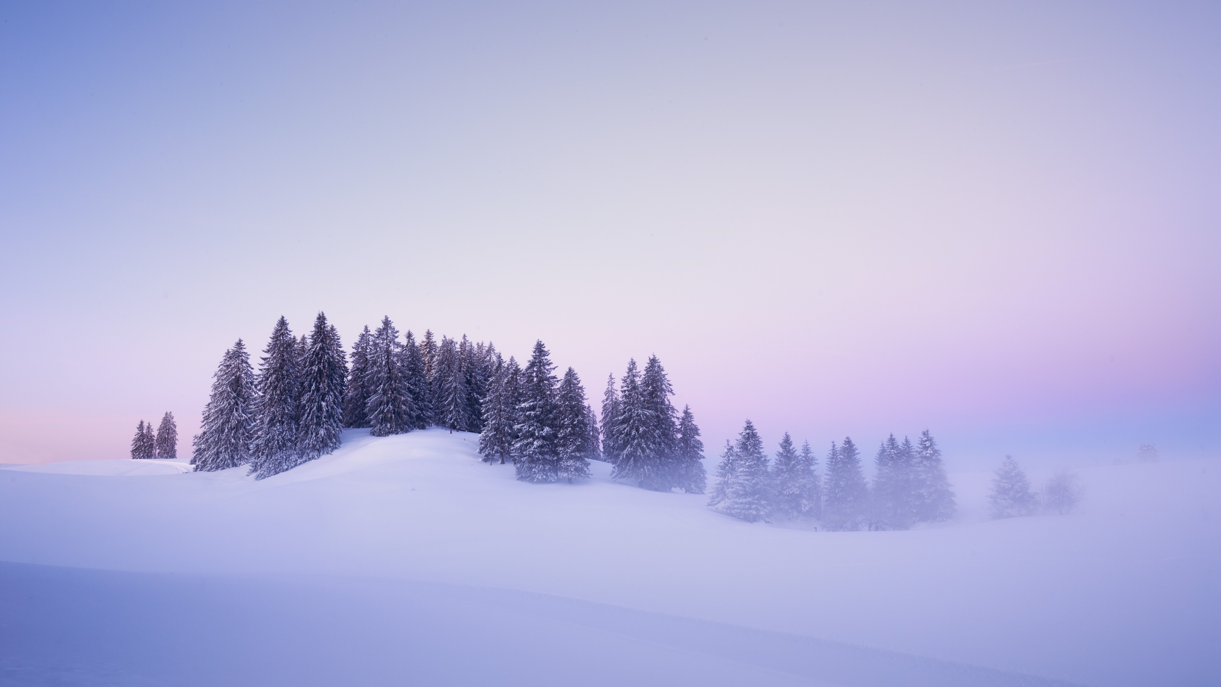 Winter Wallpaper 4K, Snow covered, Foggy, Nature, #7147
