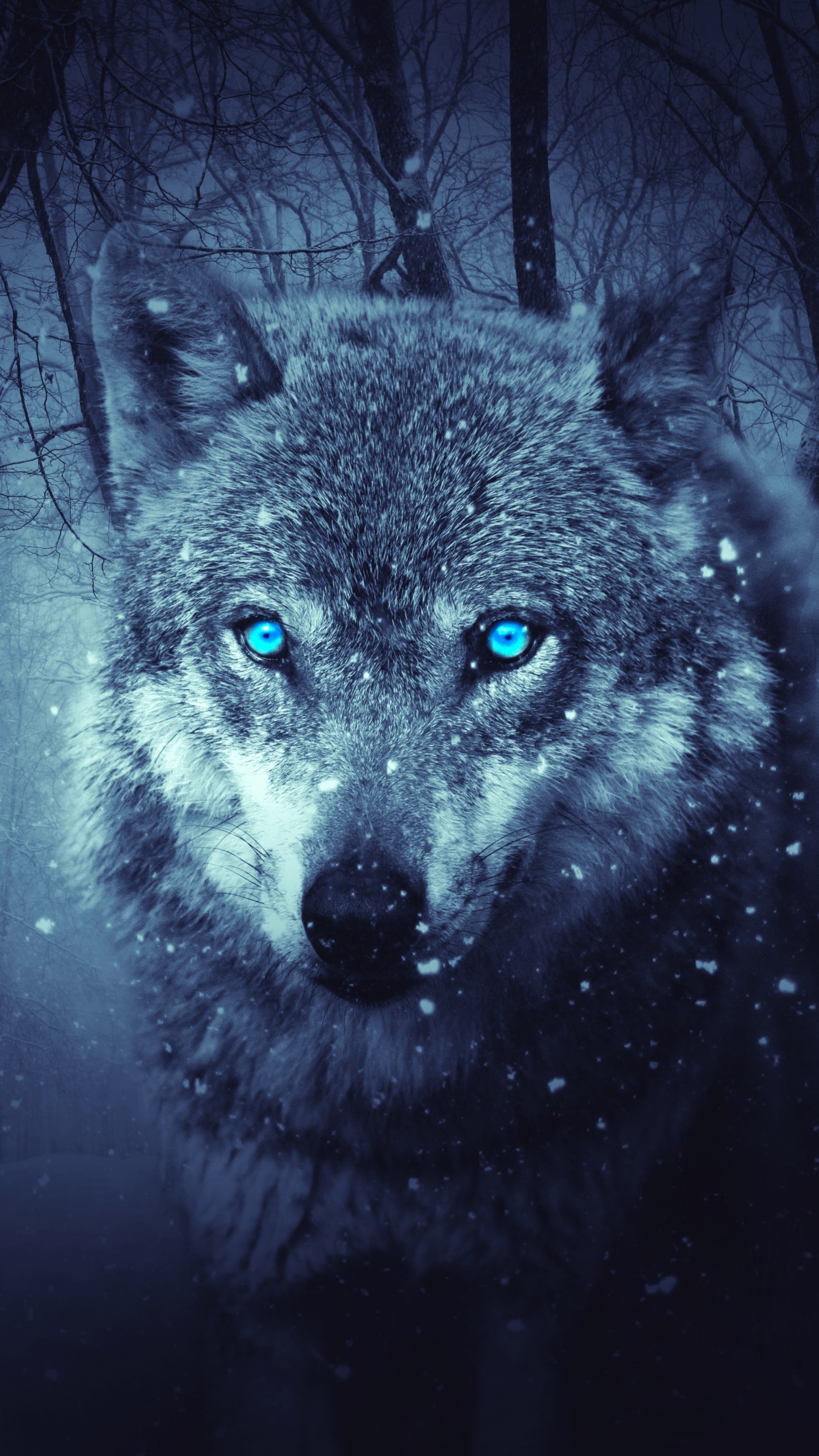 Wolf 4K Wallpaper, Blue eyes, Snowfall, Winter, Night, Forest, 5K