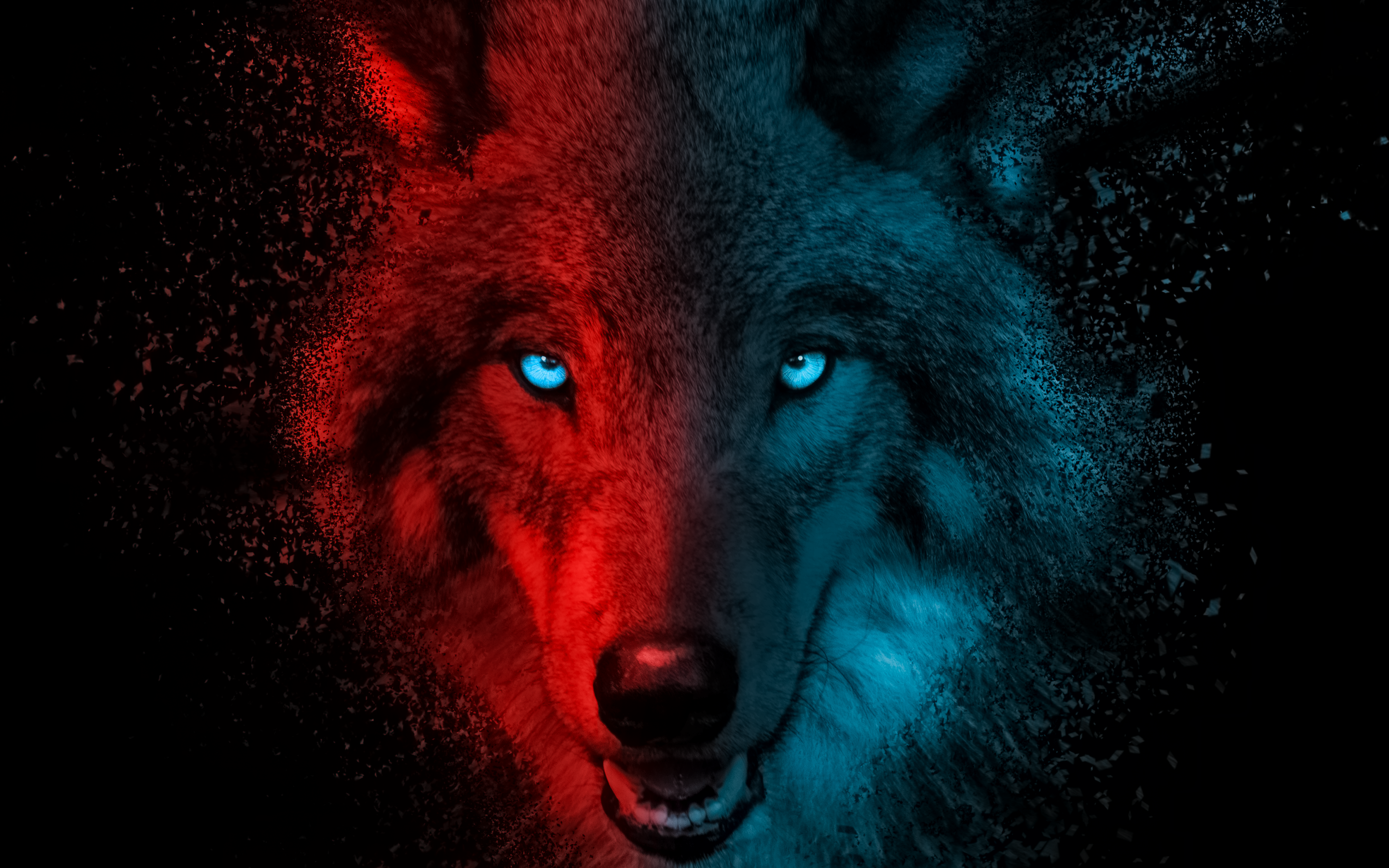 Wolf 4K Wallpaper, Scary, Gradient, Dark background, Animals, #4779